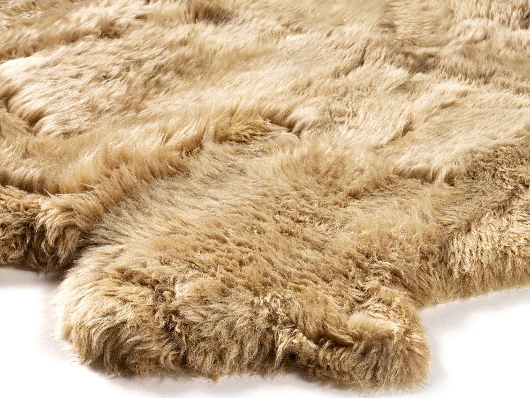 Four Hands Mateo Lalo 8 x 10 Beige Lambskin Rug