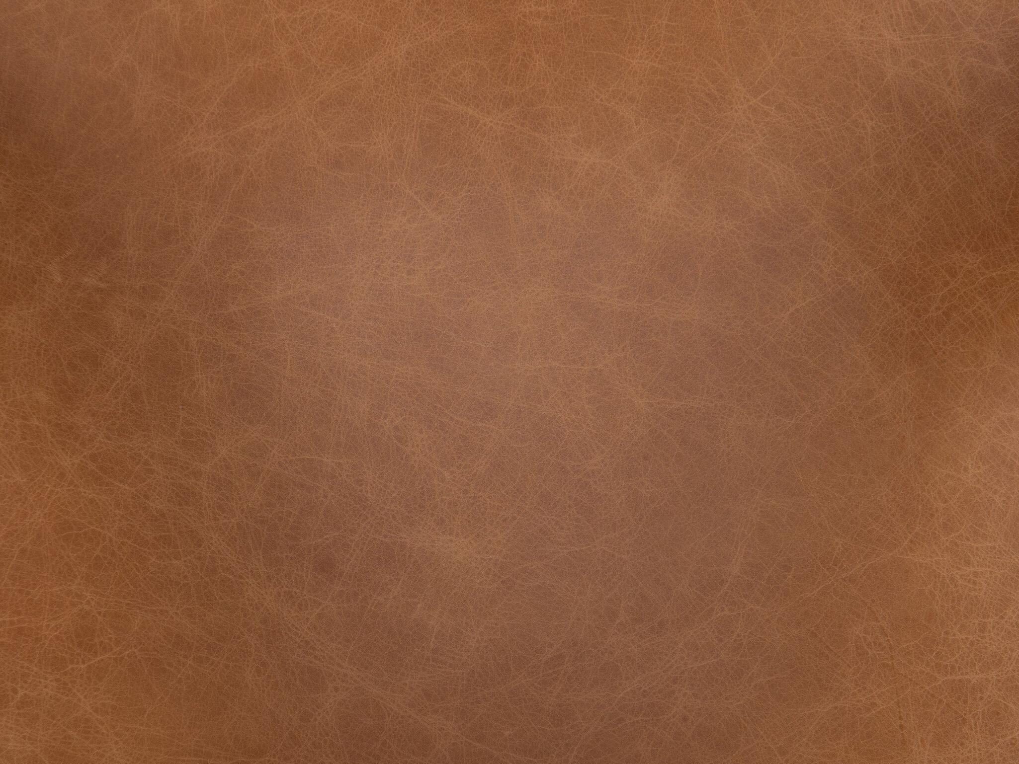 Four Hands Townsend Hawkins Leather Brown Upholstered Arm Dining Chair