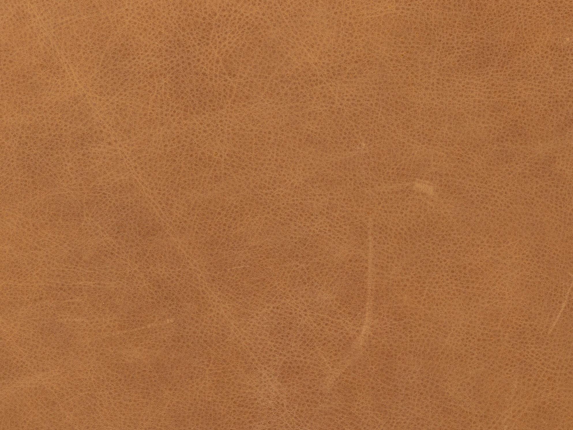 Four Hands Grayson Evie Palermo Cognac Leather Sofa