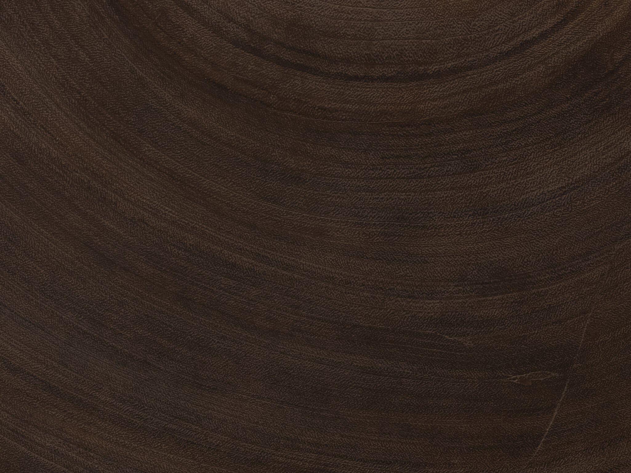 Four Hands Wesson Avett Wood Gunmetal Smoked Guanacaste Oyster Coffee Table