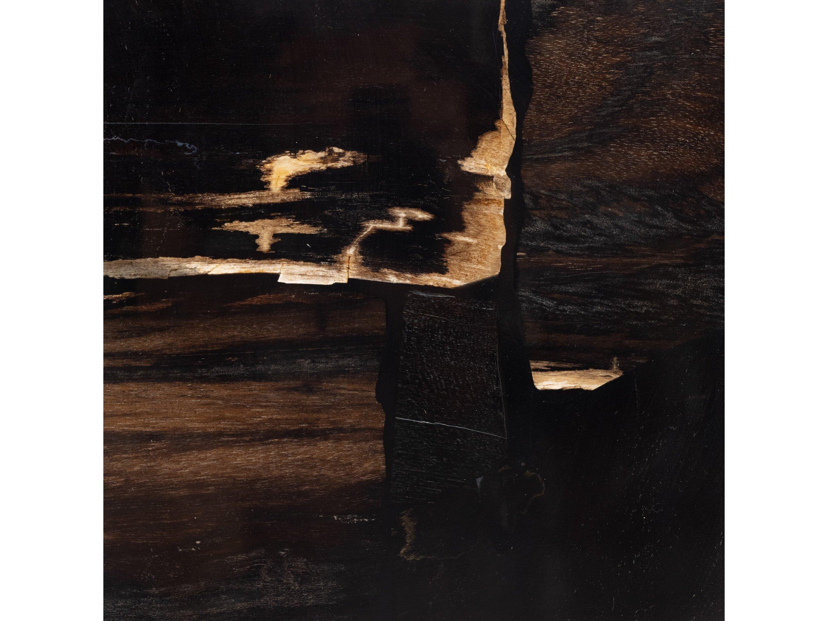 Four Hands Palu Shep Rectangular Matte Brass Dark Petrified Wood End Table