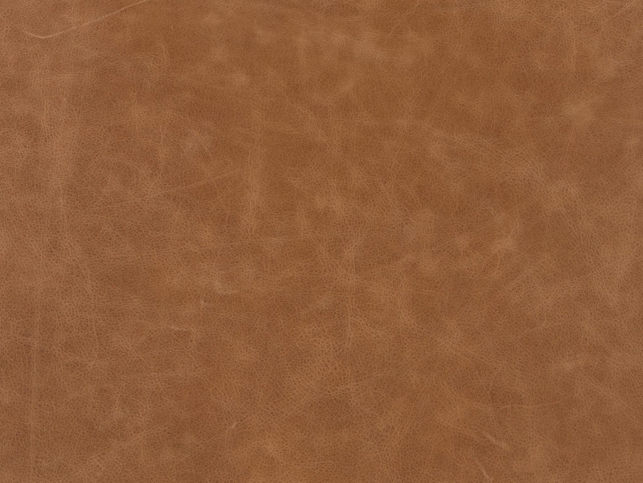 Four Hands Allston Imani Leather Brown Upholstered Side Dining Chair