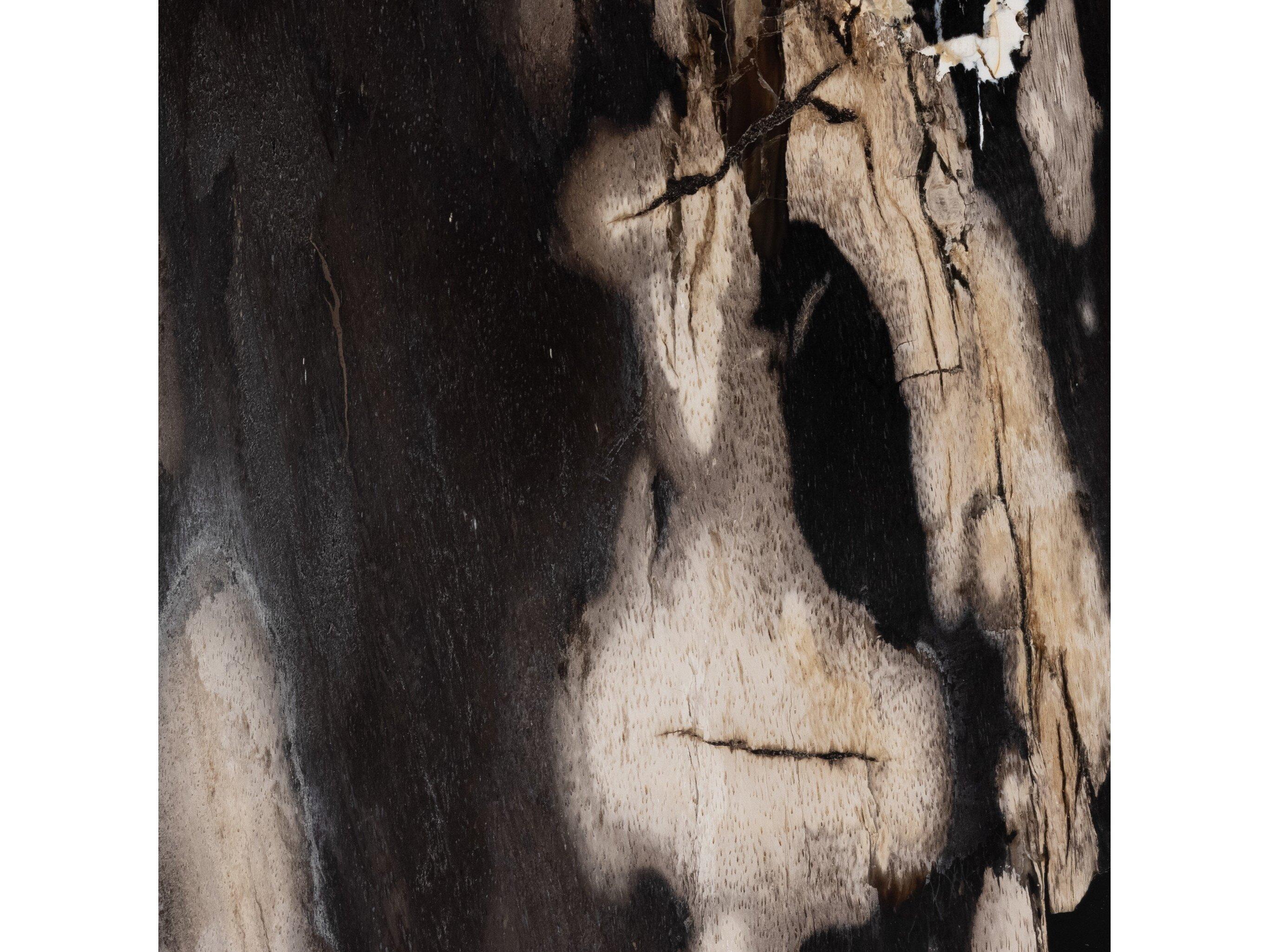 Four Hands Palu Bevin 8" Round Dark Petrified Wood Shiny Brass End Table