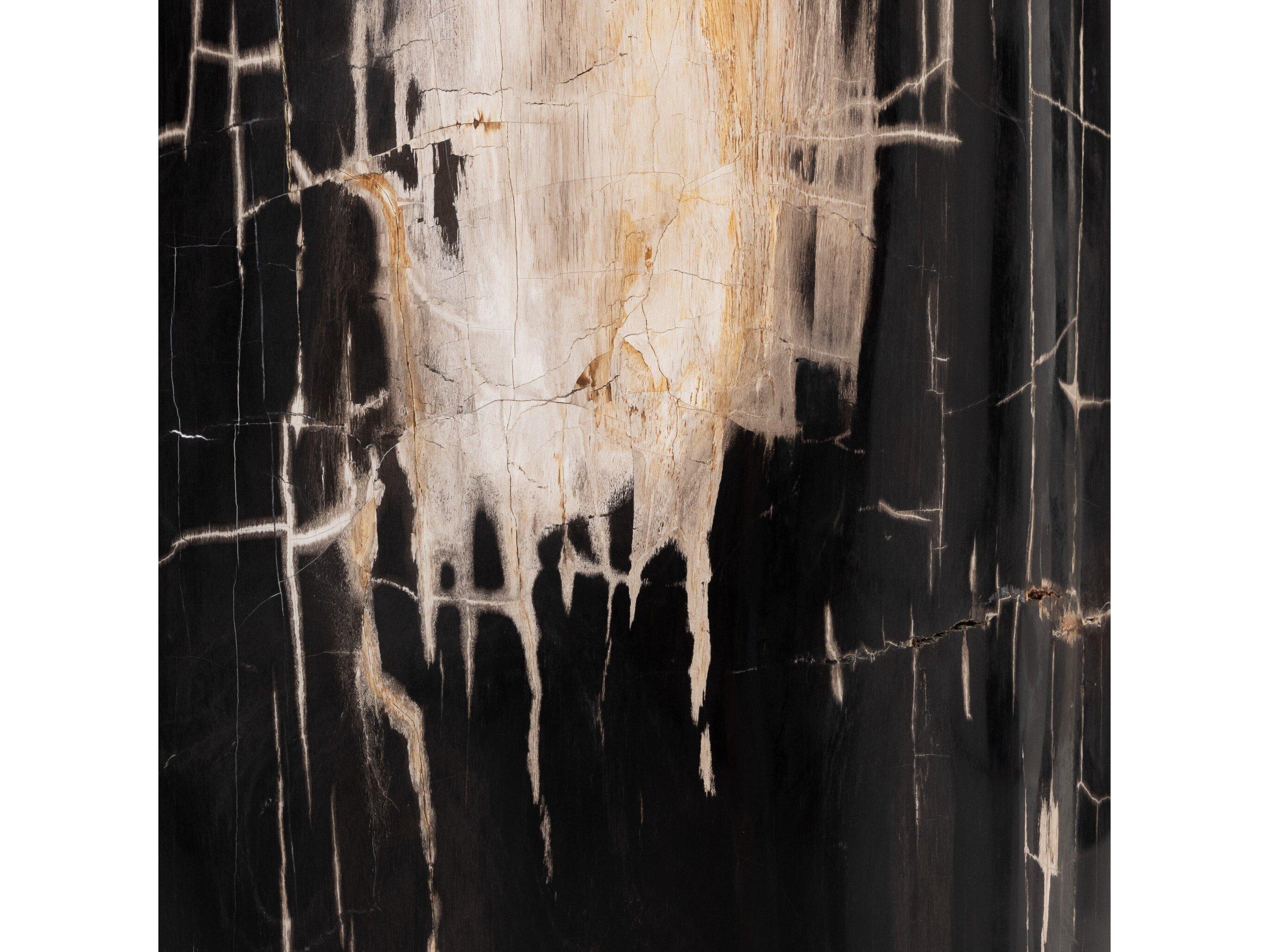 Four Hands Palu Kos Round Dark Petrified Wood End Table