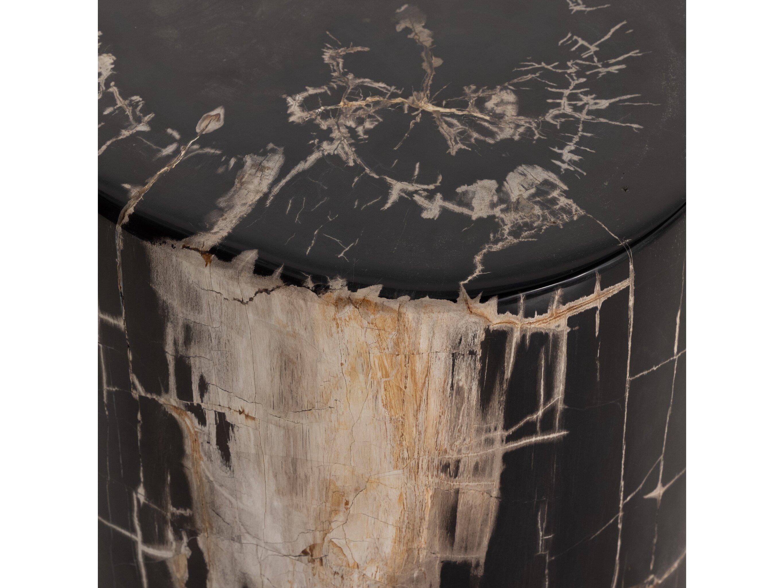 Four Hands Palu Kos Round Dark Petrified Wood End Table