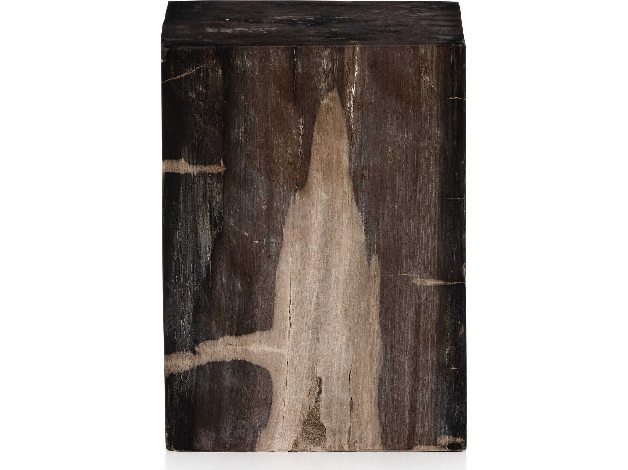 Four Hands Palu Buck Square Dark Petrified Wood End Table