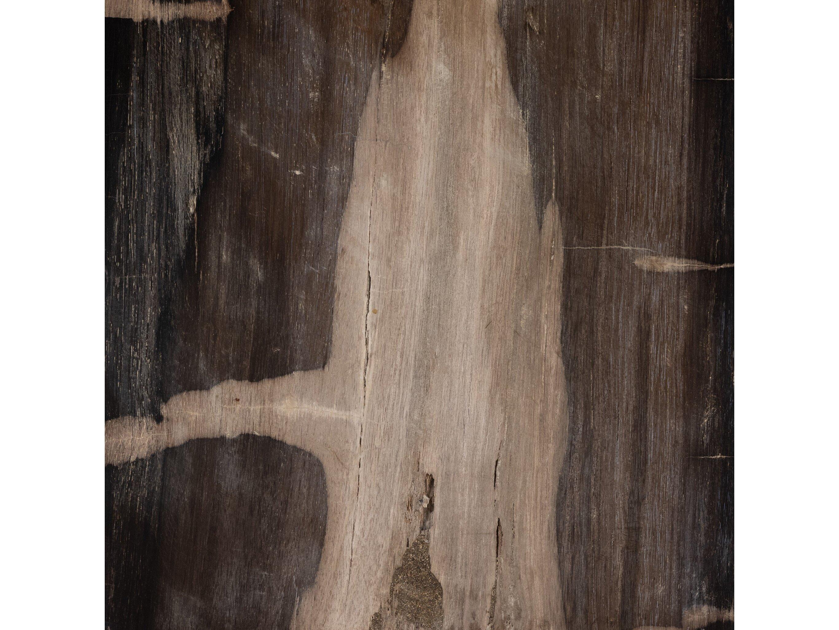 Four Hands Palu Buck Square Dark Petrified Wood End Table