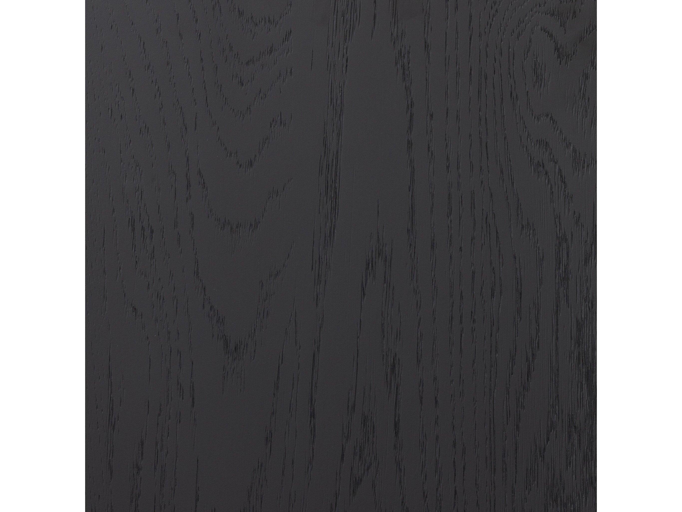 Four Hands Irondale Drifted Black Oak Wood Accent Chest