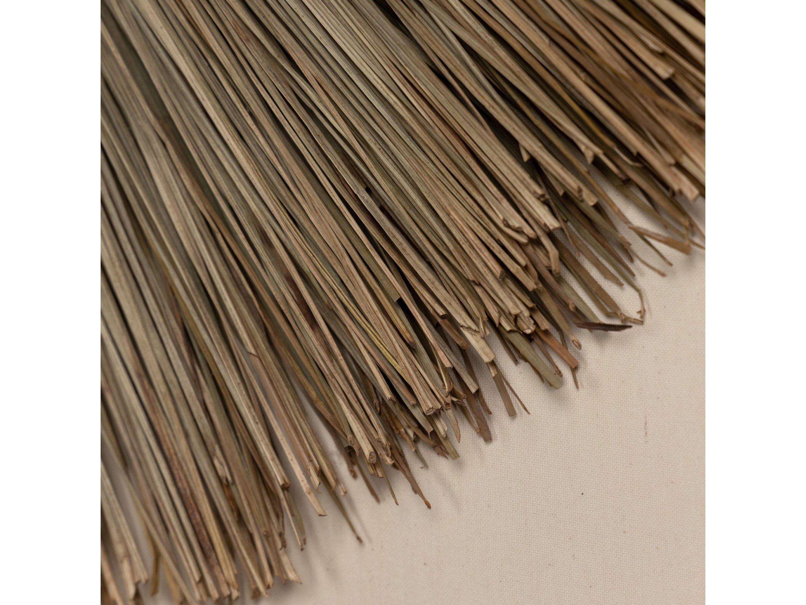 Four Hands Art Studio Sea Grass Object Beda Wood Wall Art