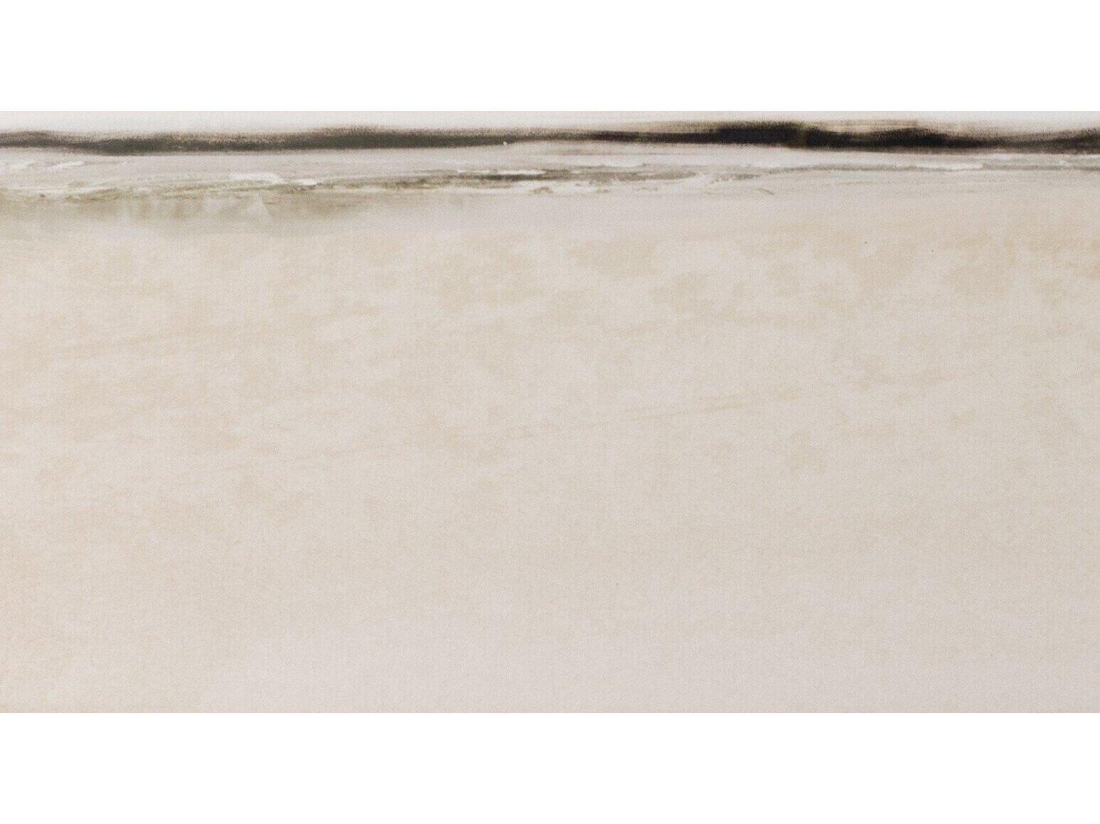 Four Hands Art Studio Breeze Print / Painting