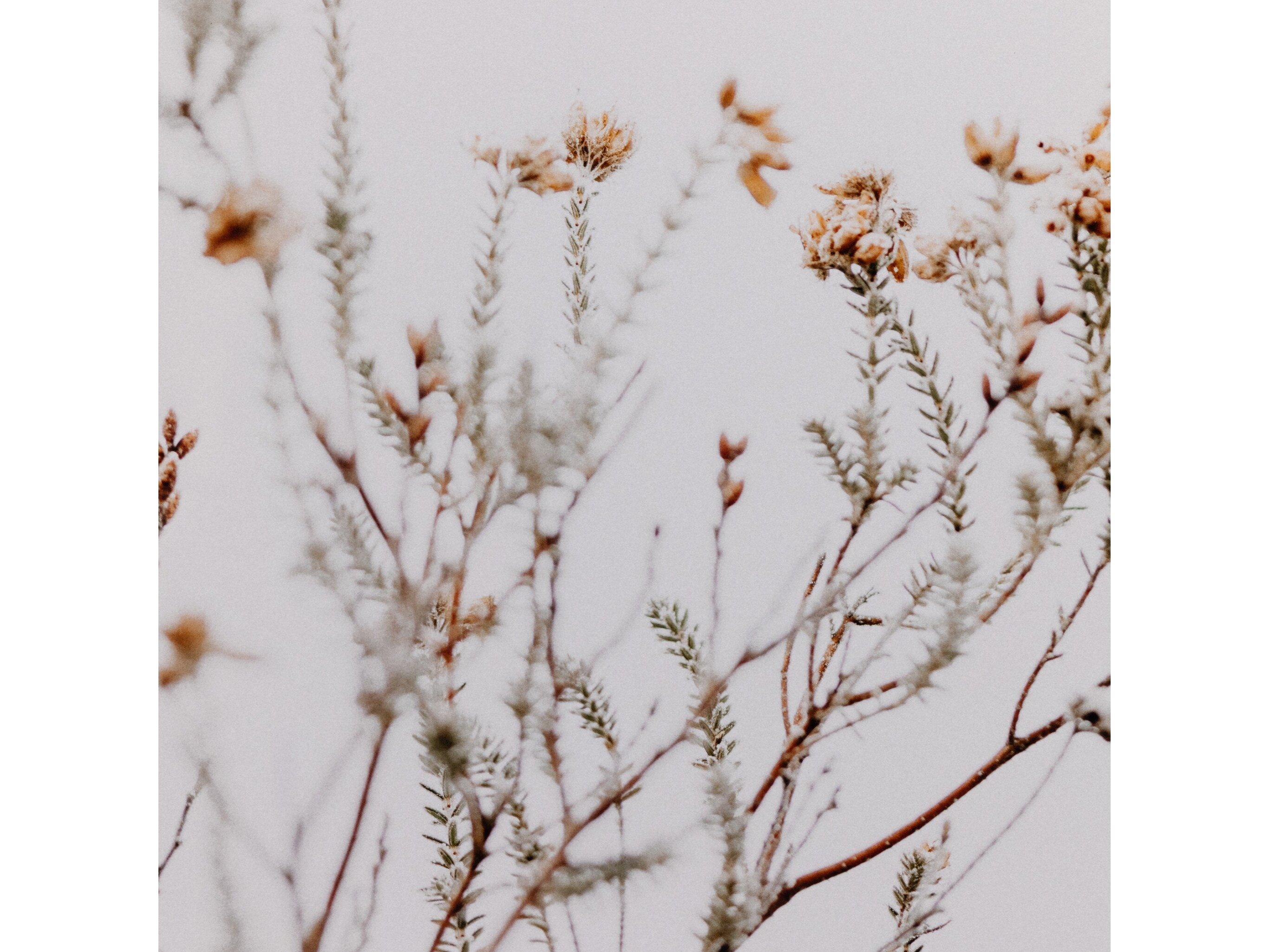 Four Hands Art Studio In The Details I By Annie Spratt Wall Art