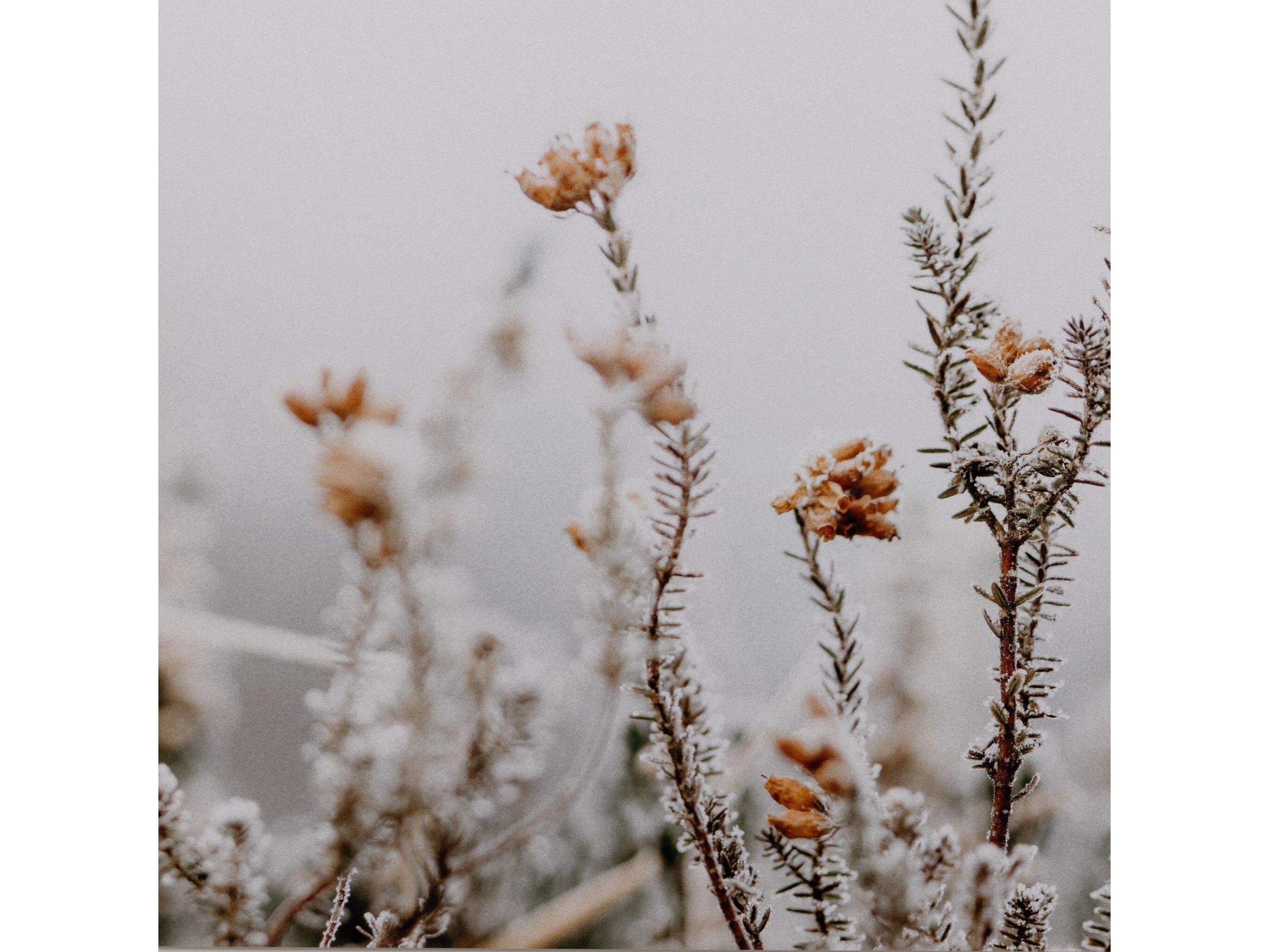 Four Hands Art Studio In The Details Ii By Annie Spratt Wall Art