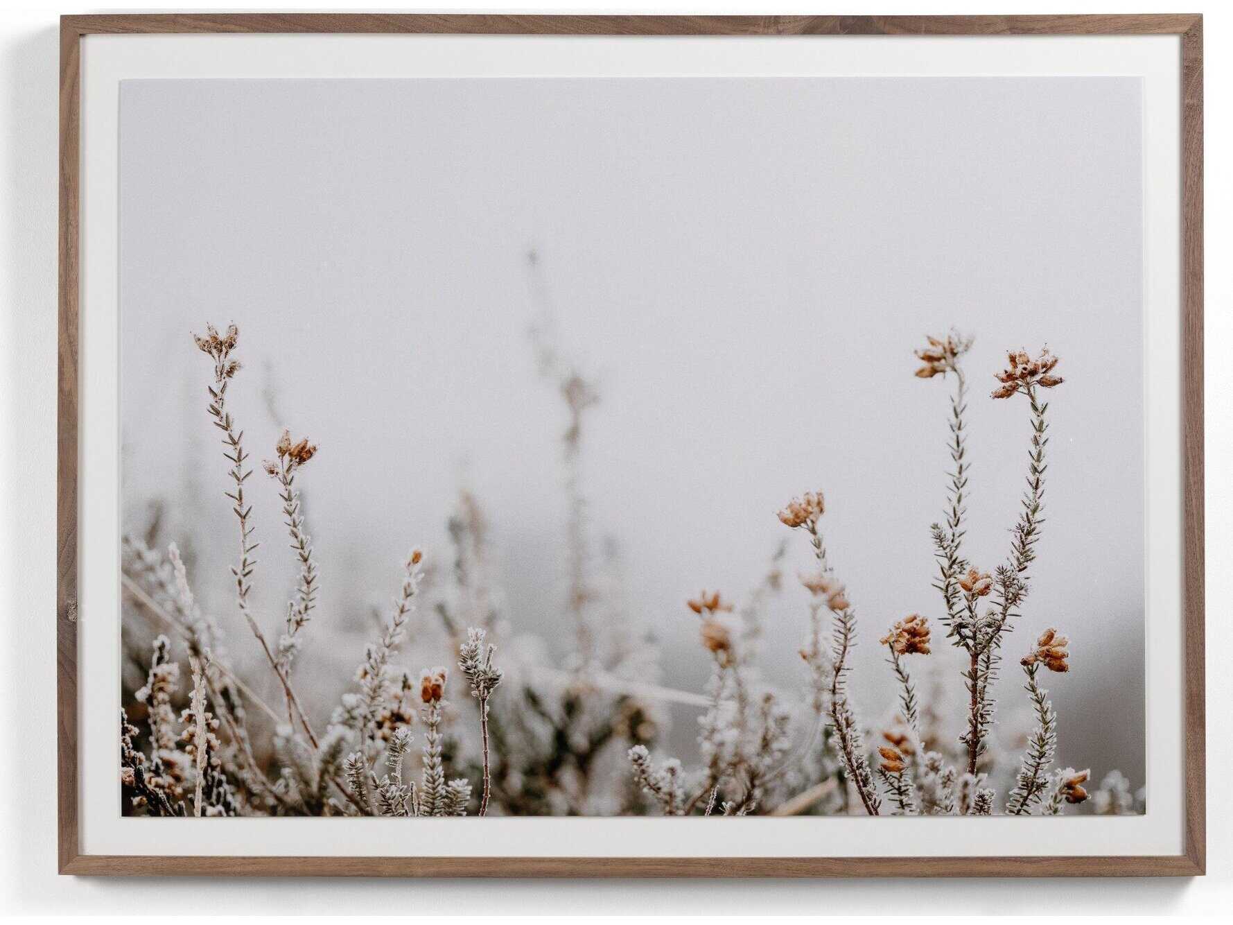 Four Hands Art Studio In The Details II by Annie Spratt Rustic Walnut  Canvas Wall Art