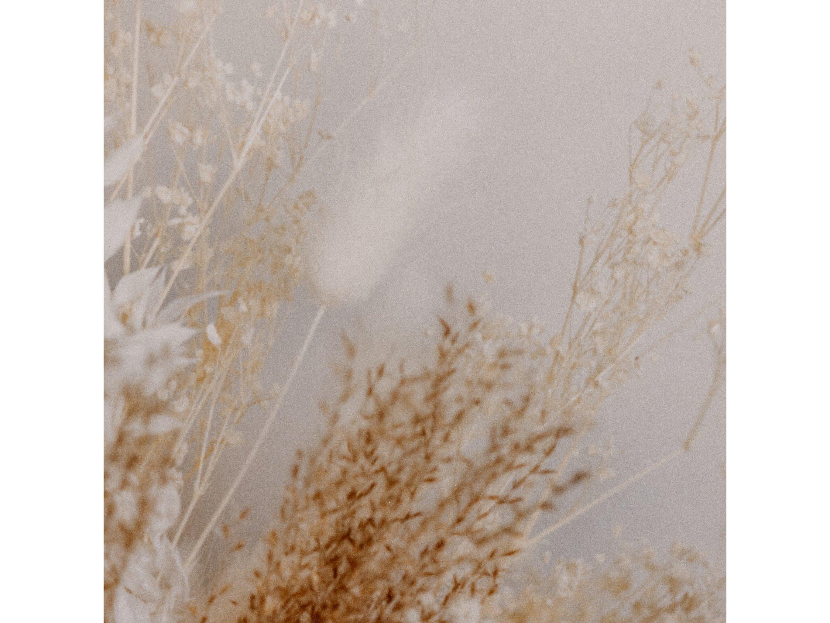 Four Hands Art Studio Dried Floral Ii By Annie Spratt Wall Art