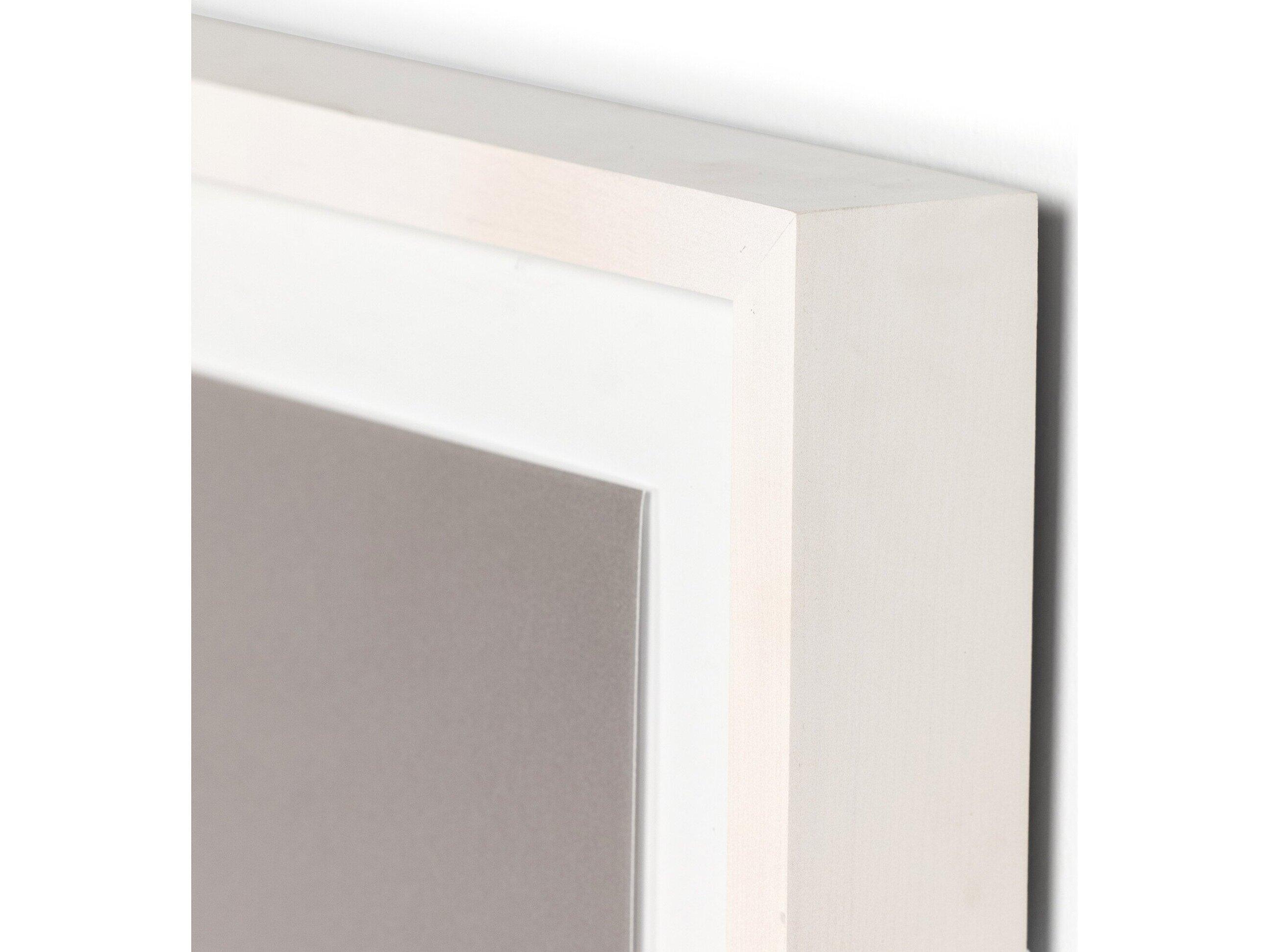 Four Hands Art Studio Dried Floral II by Annie Spratt White Washed Maple  Canvas Wall Art