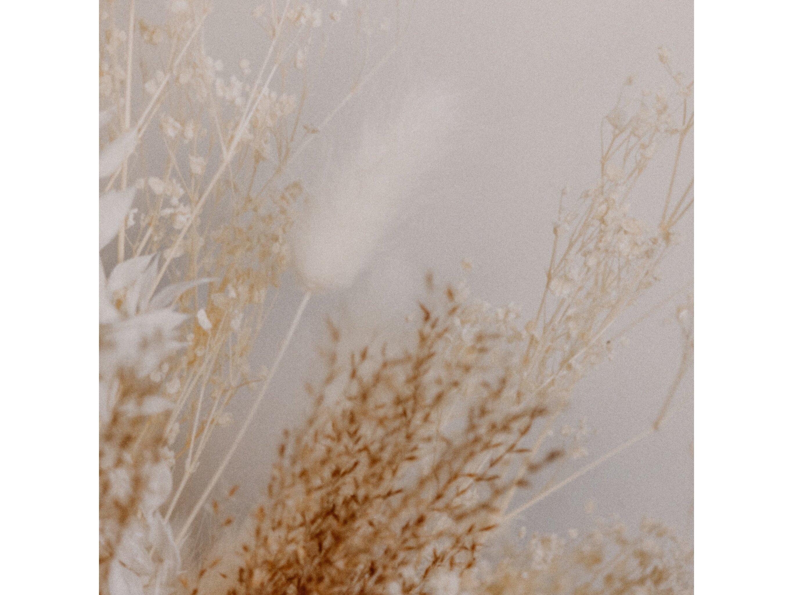 Four Hands Art Studio Dried Floral II by Annie Spratt White Washed Maple  Canvas Wall Art