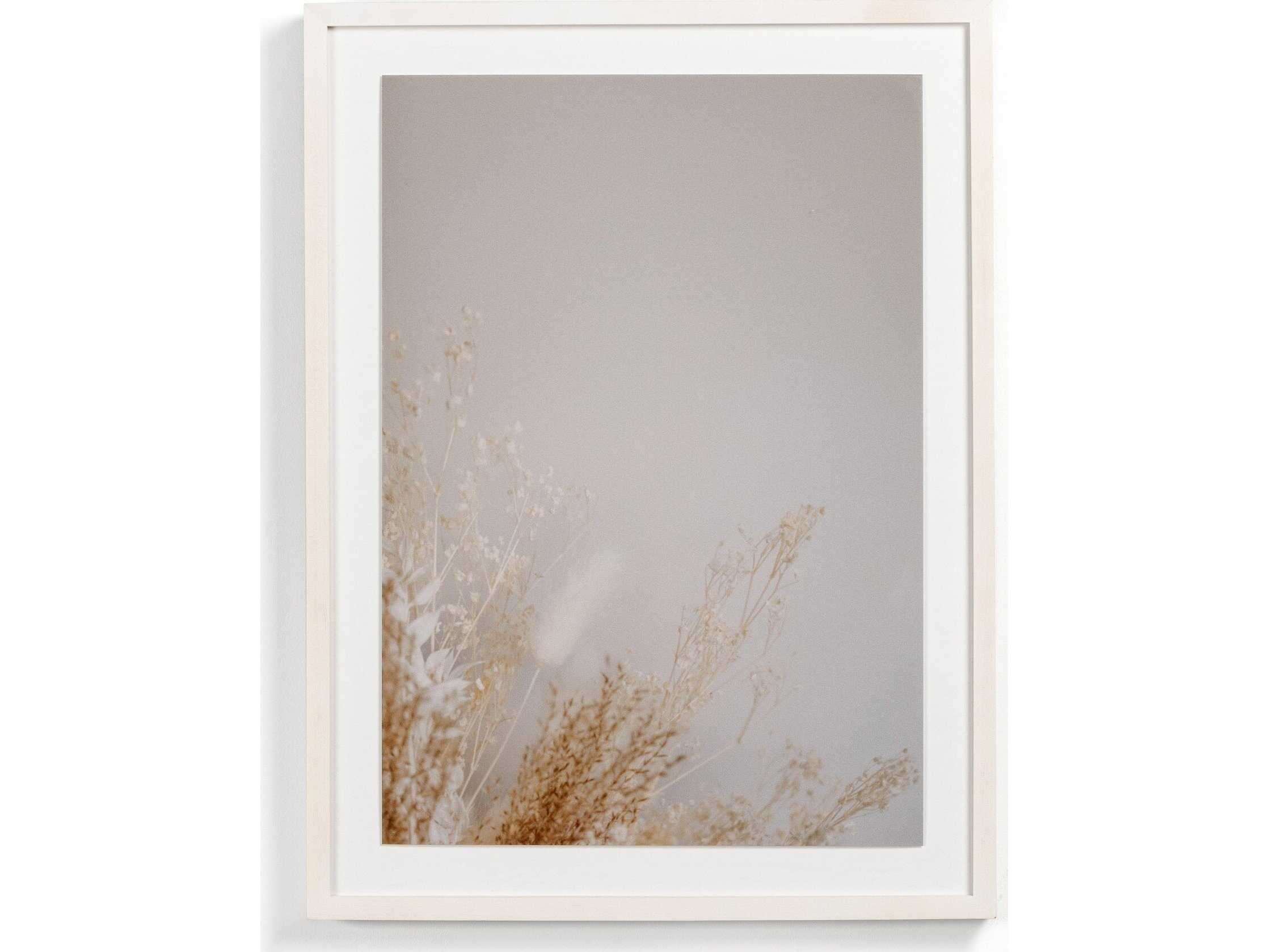 Four Hands Art Studio Dried Floral II by Annie Spratt White Washed Maple  Canvas Wall Art