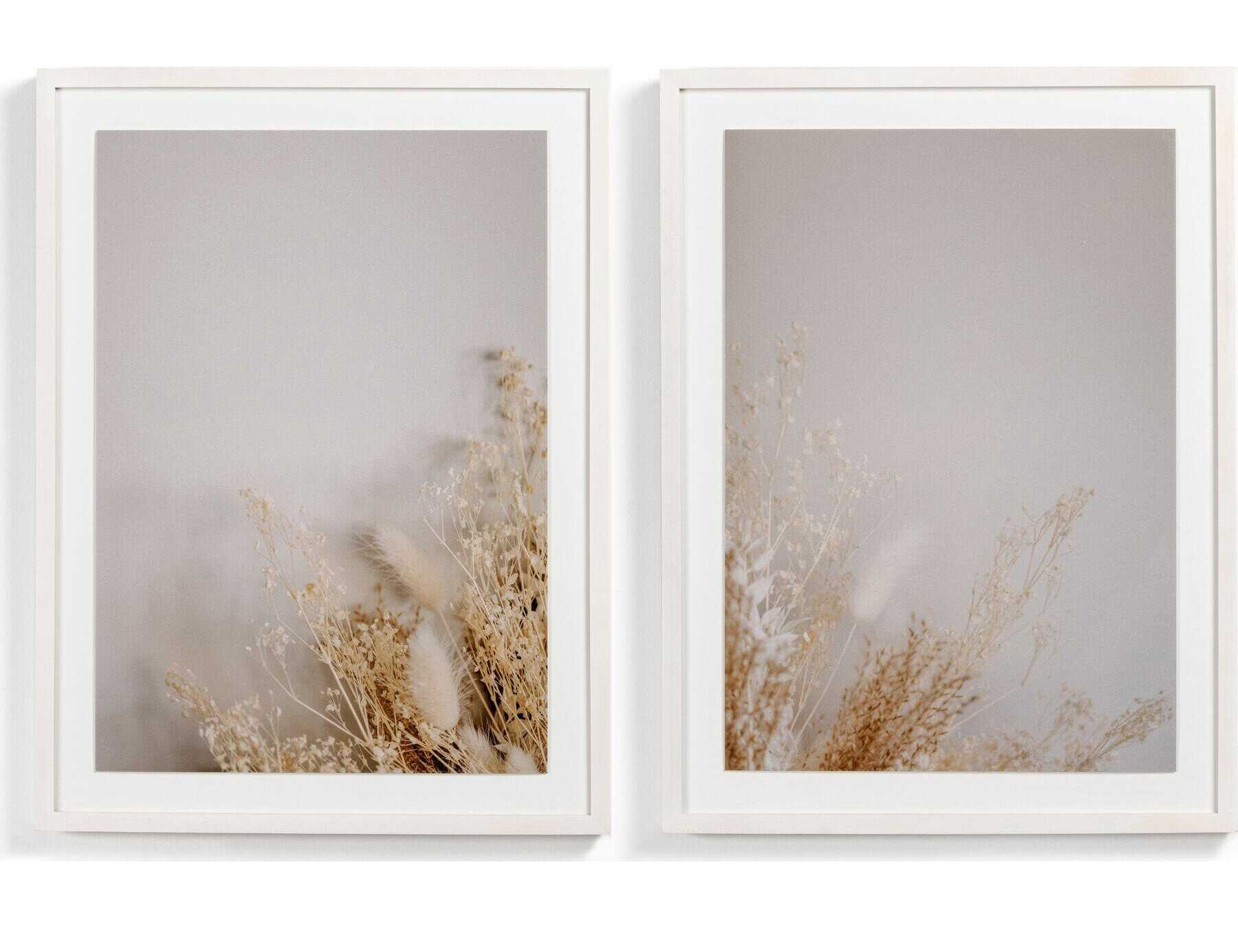 Four Hands Art Studio Dried Floral Dyptich By Annie Spratt Wall Art Set of 2