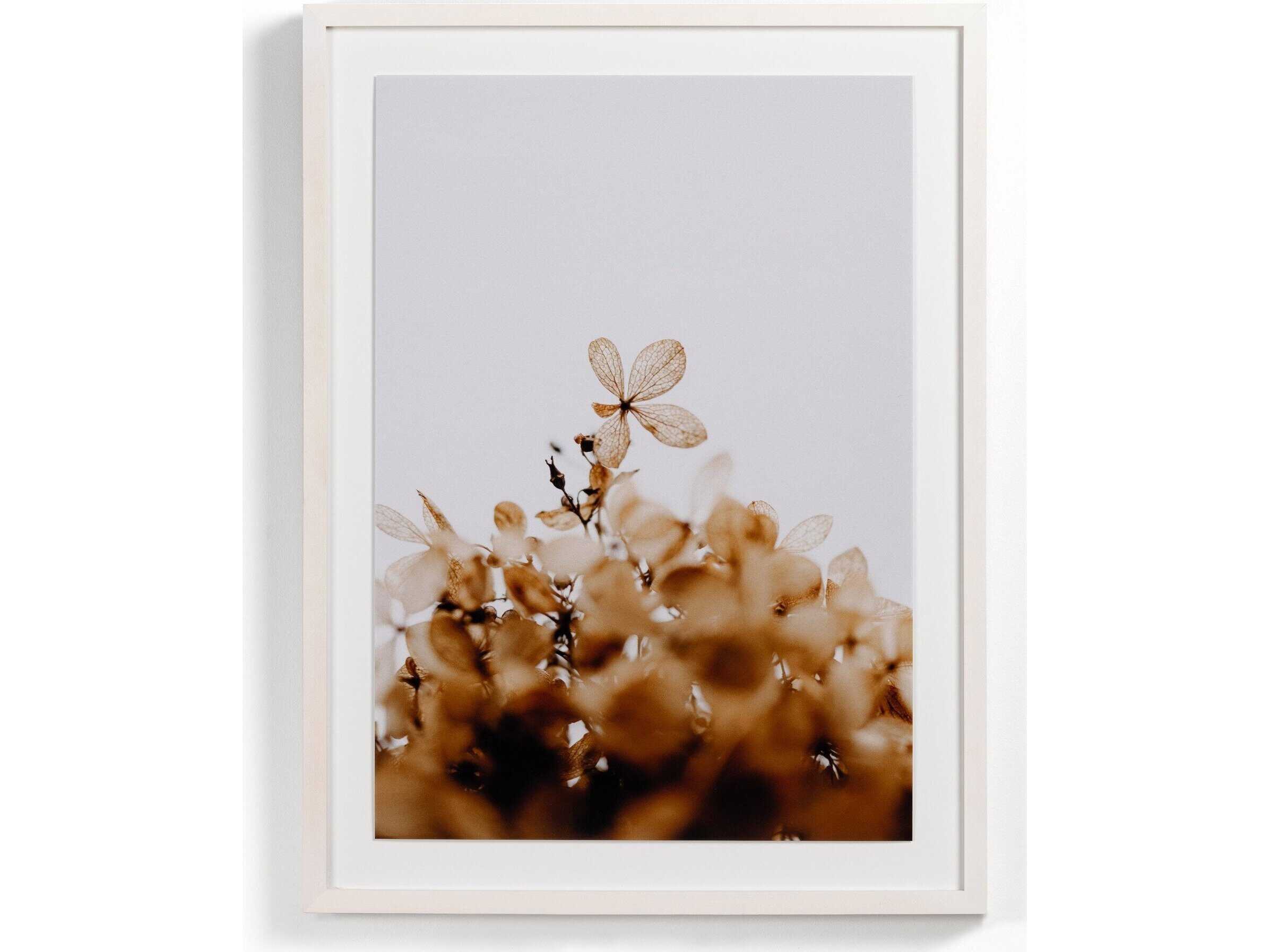 Four Hands Art Studio Greetings by Annie Spratt White Washed Maple  Canvas Wall Art