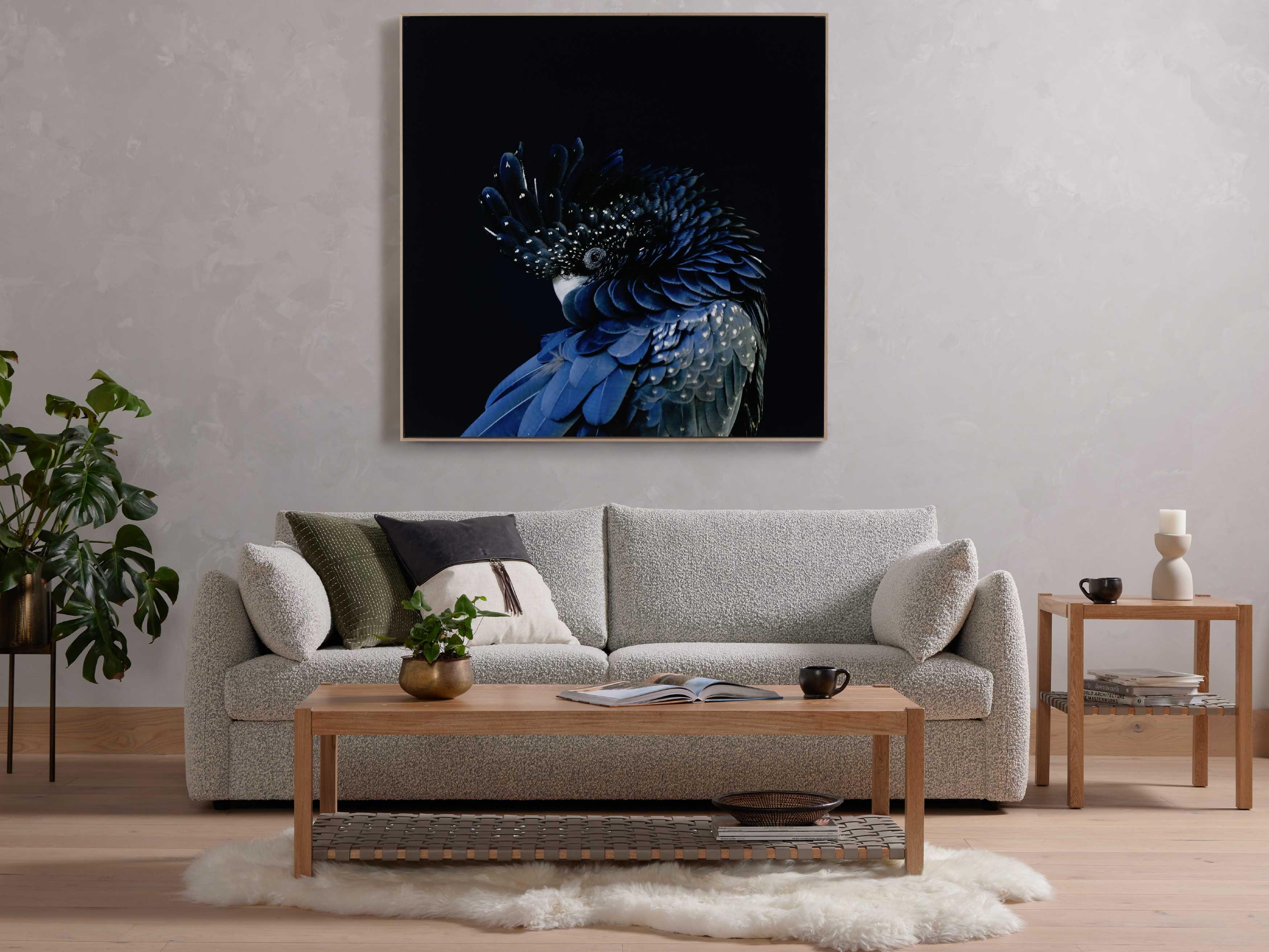 Four Hands Art Studio Red-Tailed Black Cockatoo By Getty Image Wall Art