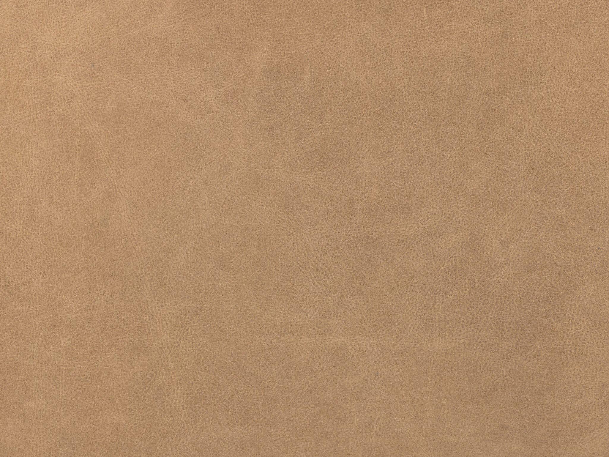 Four Hands Westgate Jude Palermo Nude Desk Chair