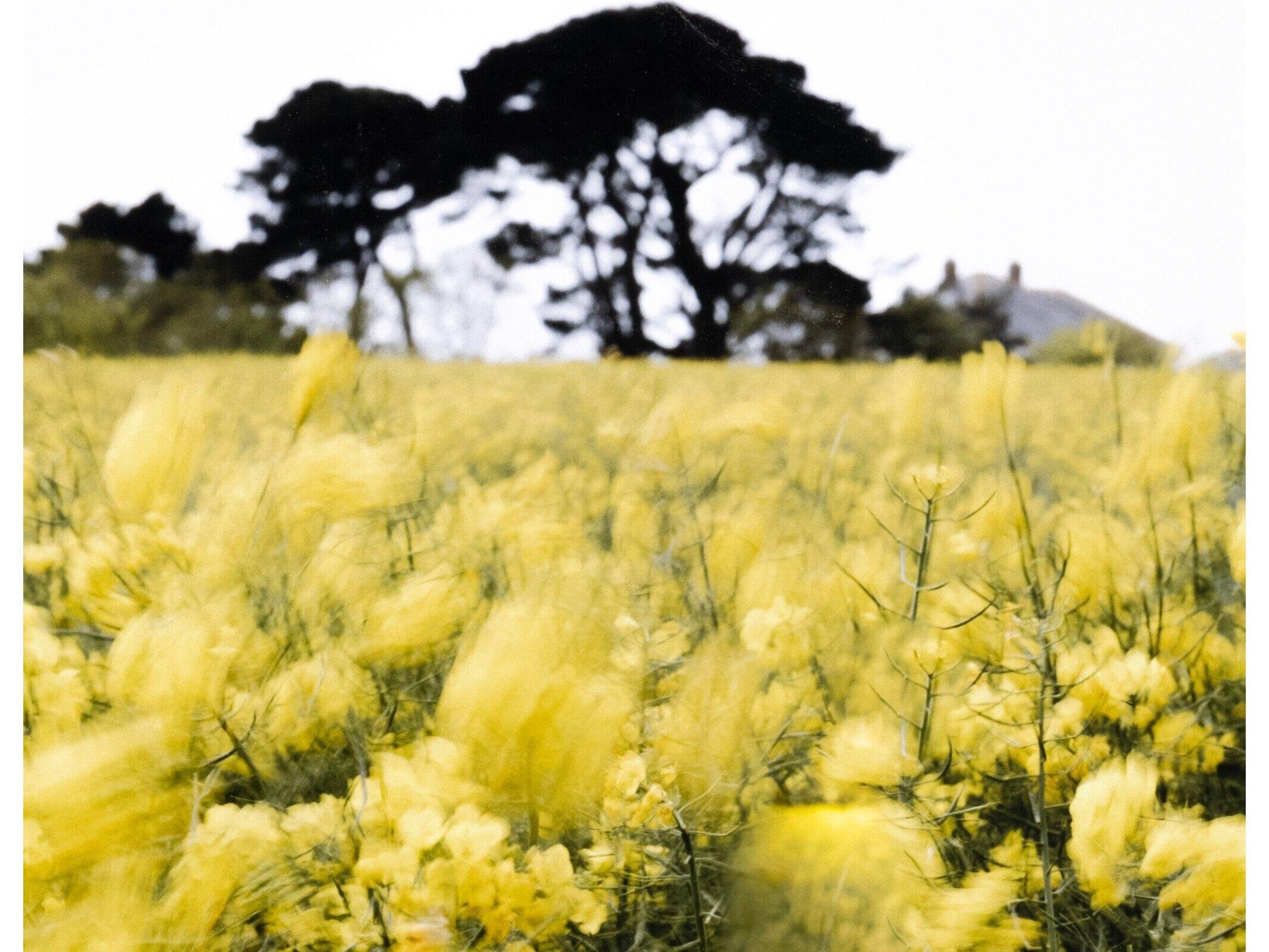 Four Hands Art Studio In The Details Ii By Annie Spratt Wall Art