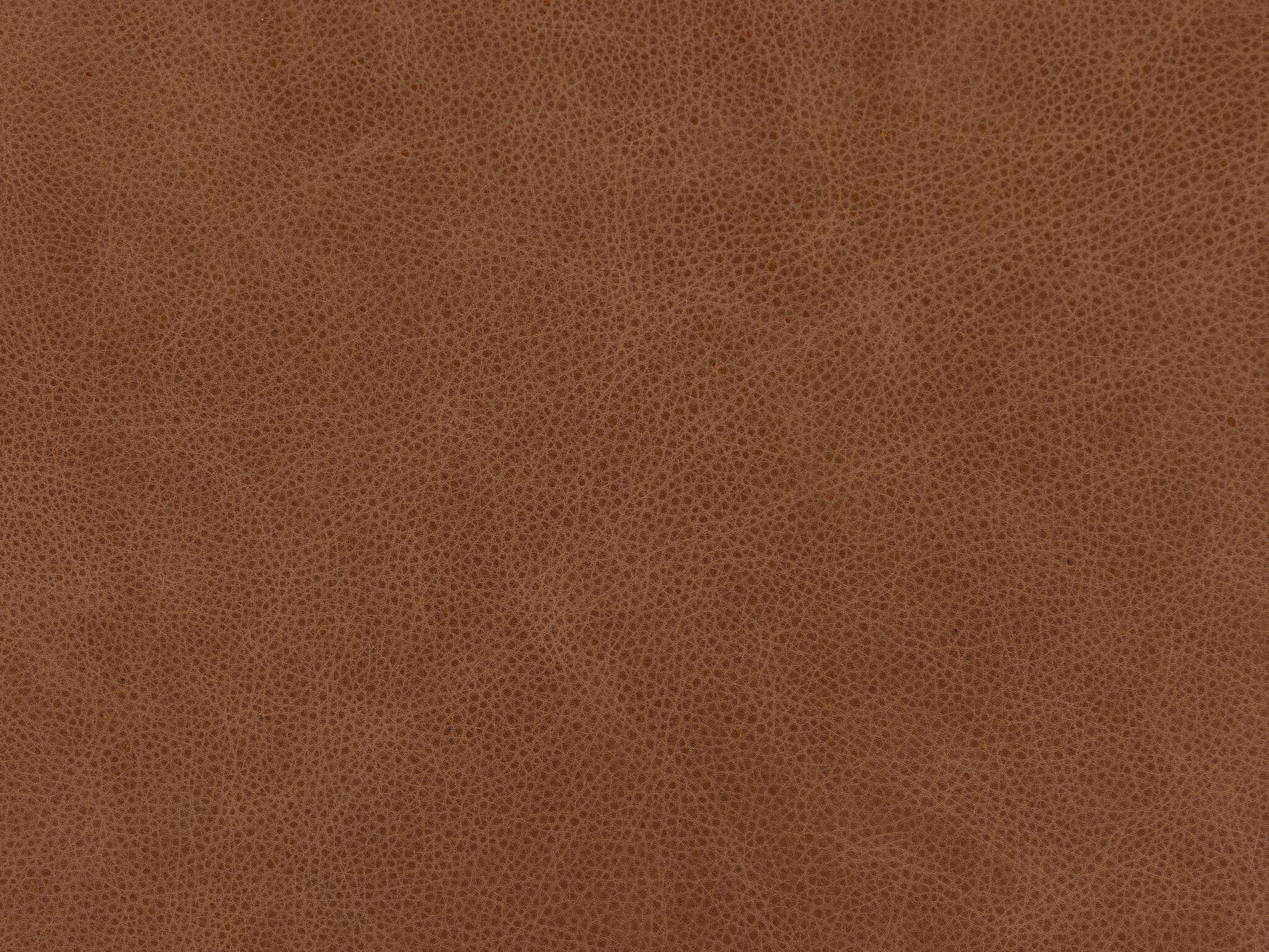 Four Hands Kensington Wellborn Palermo Cognac Sofa