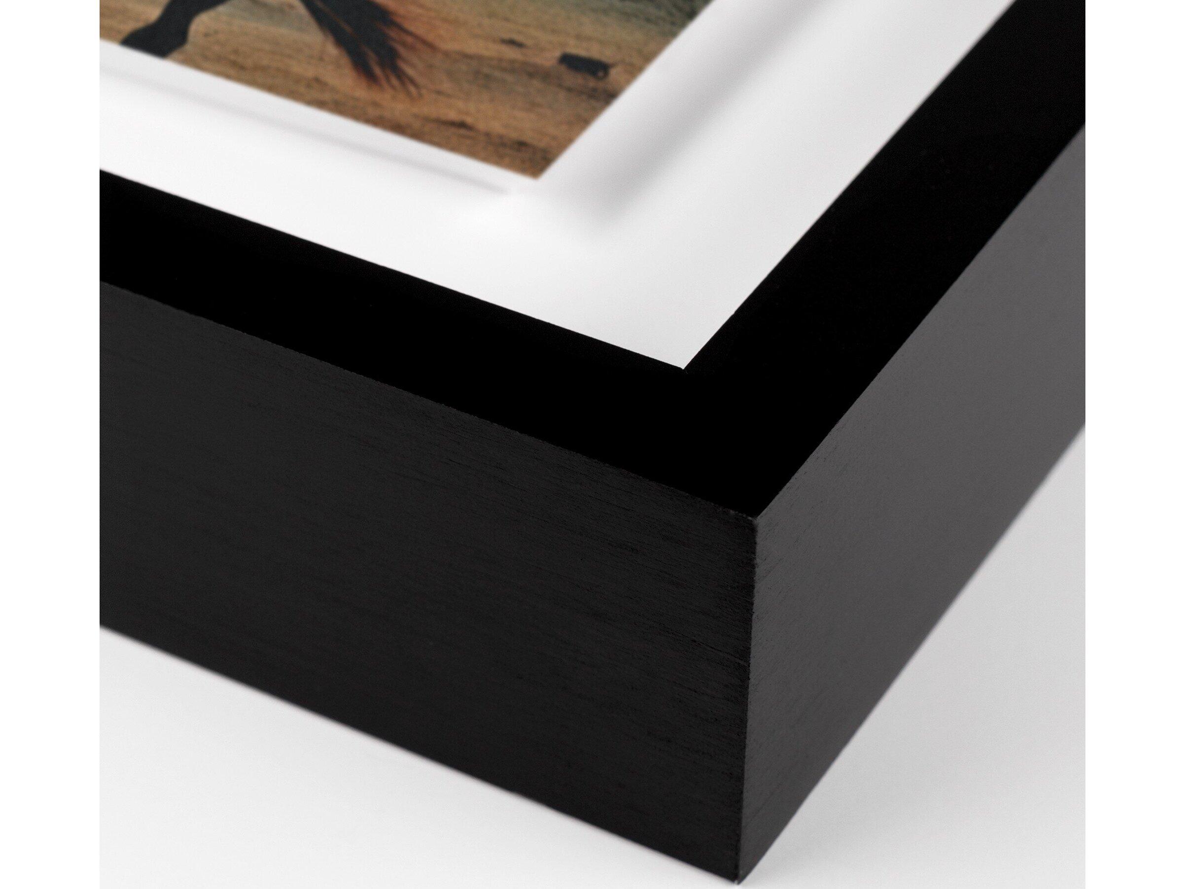 Four Hands Art Studio Horse by Coup D'esprit Black Maple Canvas Wall Art