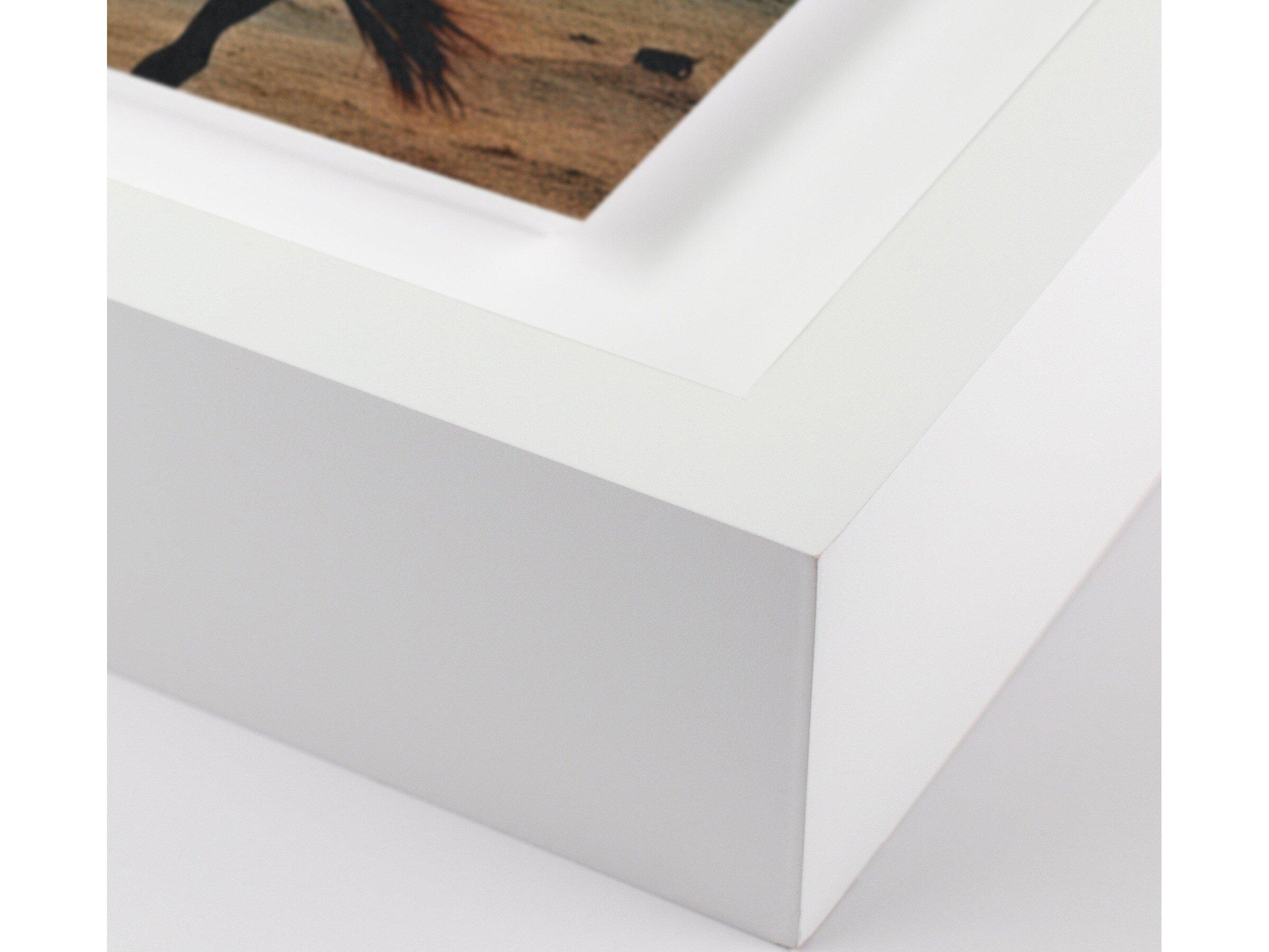 Four Hands Art Studio Horse by Coup D'esprit White Maple Canvas Wall Art