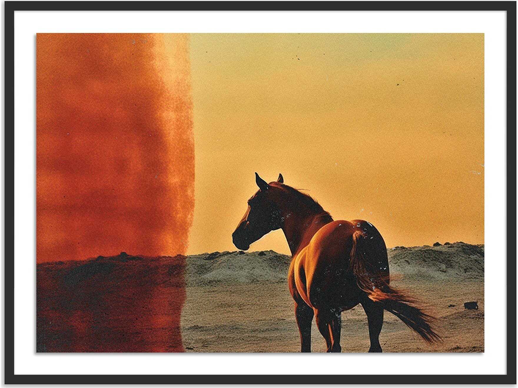 Four Hands Art Studio Horse by Coup D'esprit Black Maple Canvas Wall Art