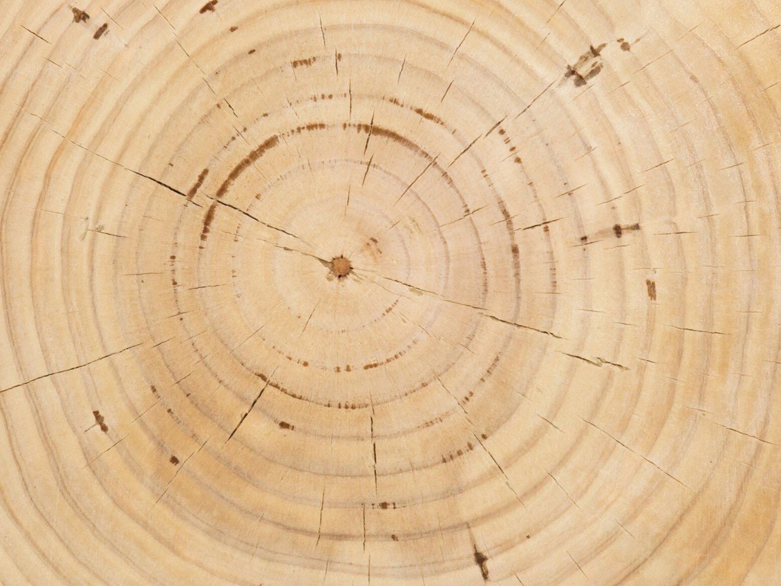 Four Hands Bishop Aliza End Table