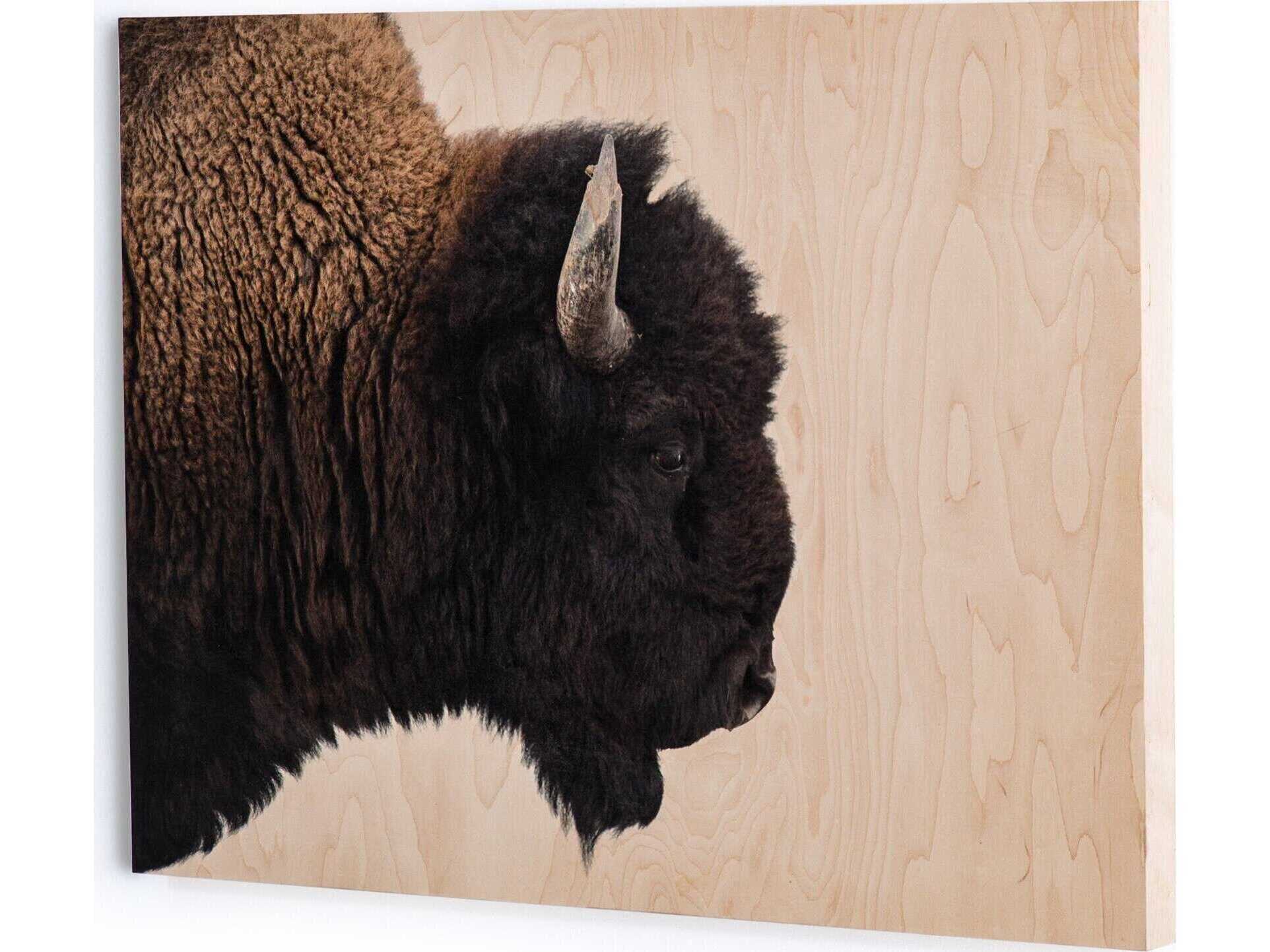 Four Hands Loft American Bison Wood Wall Art