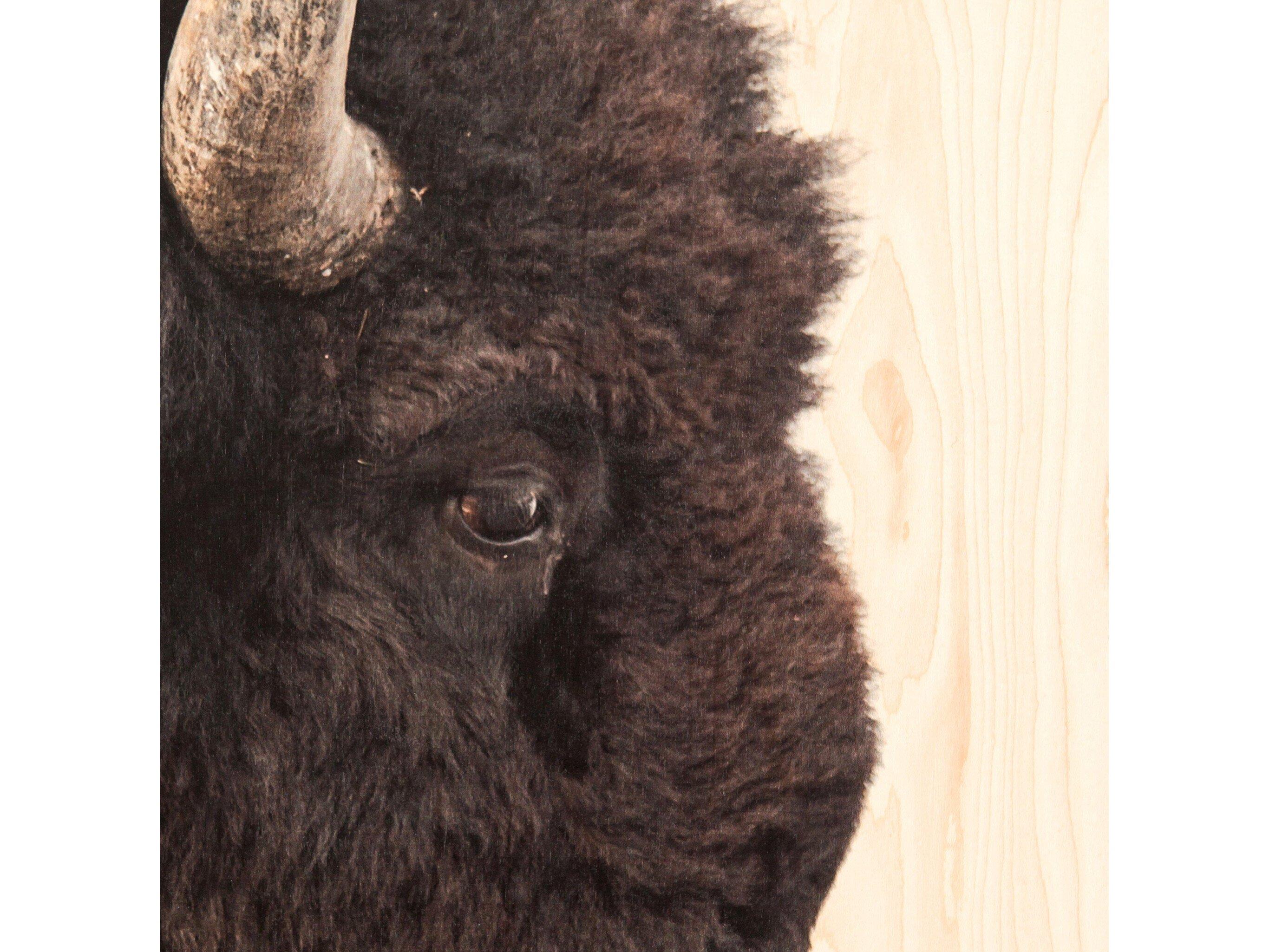 Four Hands Loft American Bison Wood Wall Art