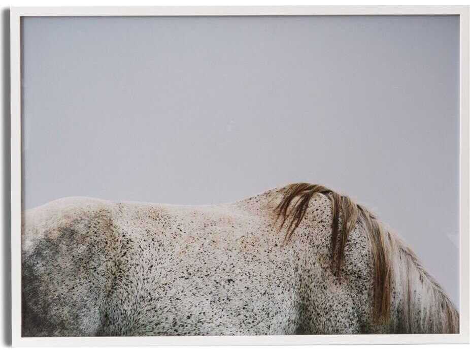 Four Hands Art Studio Graze Print / Painting