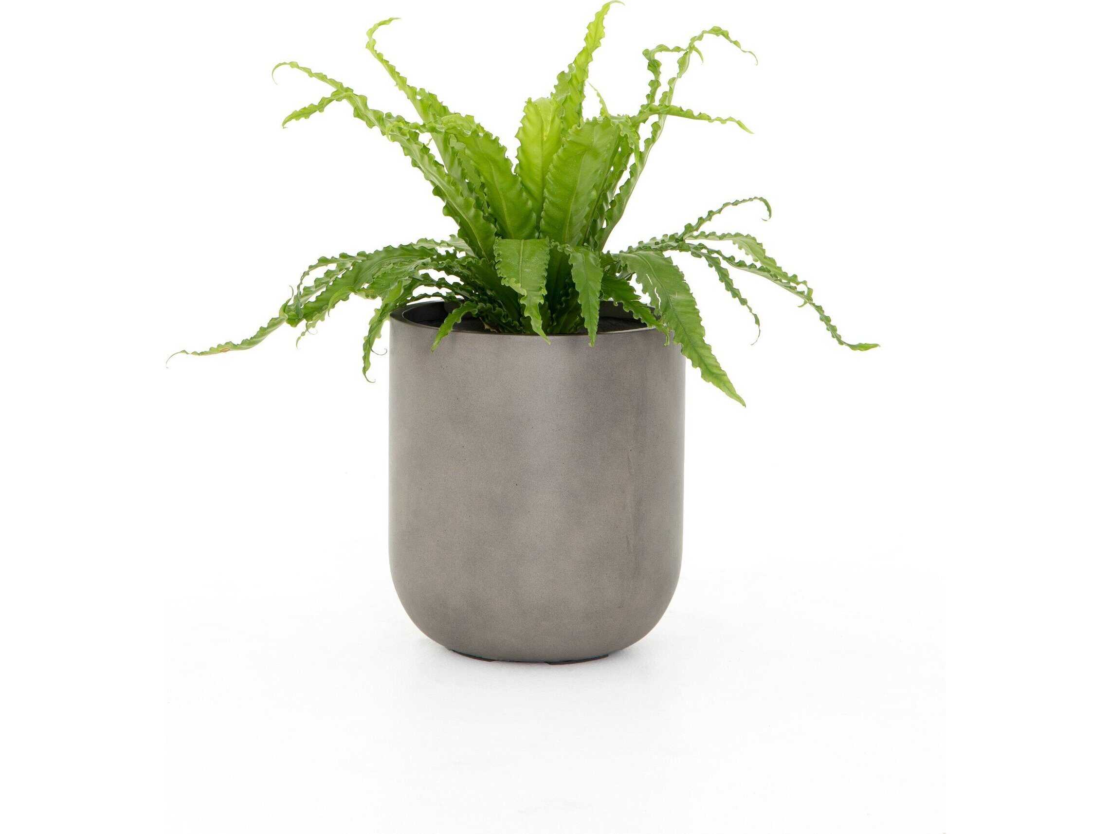 Four Hands Thayer Ivan Planter