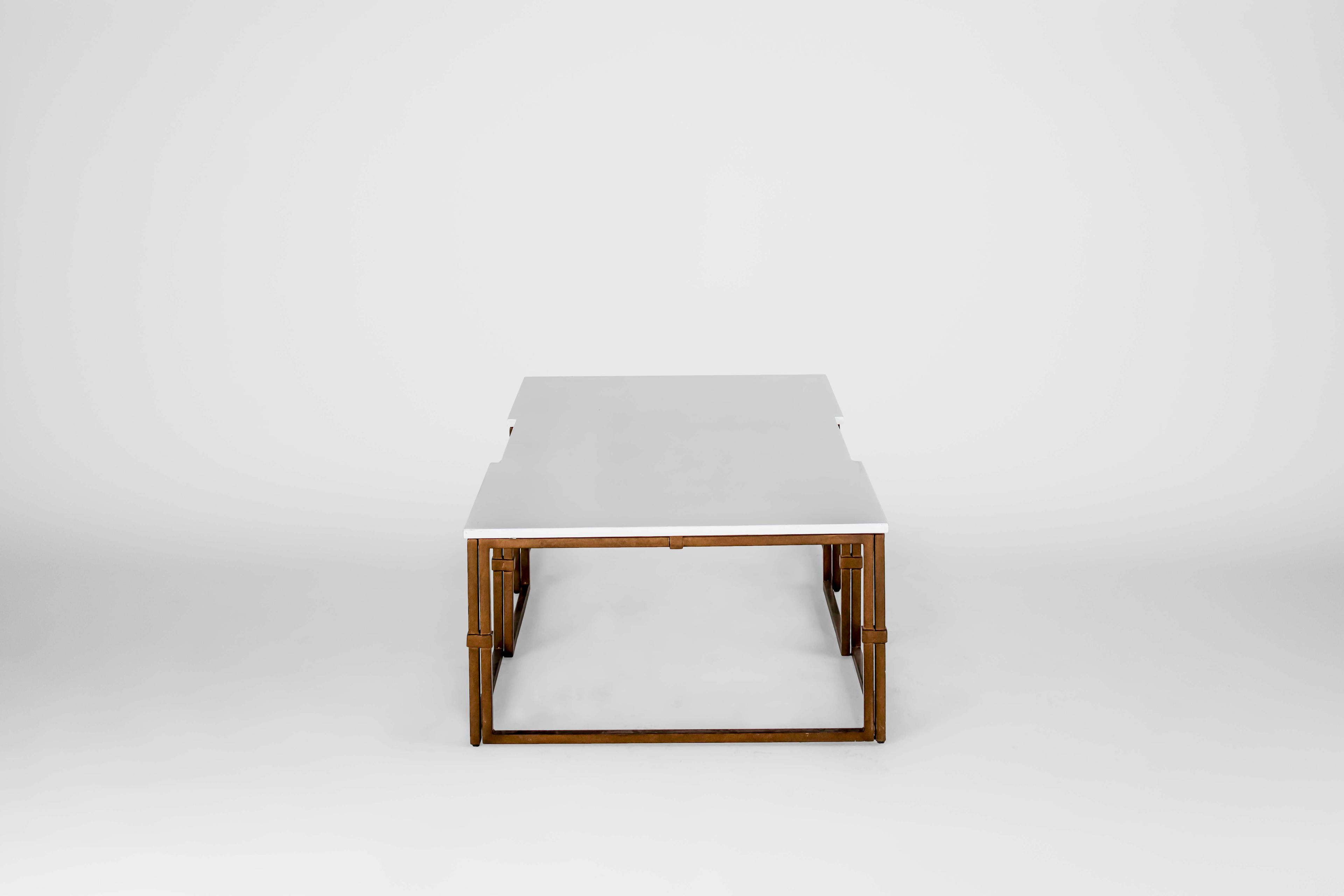 Gabby Stevens Rectangular White Seagrass With Antique Brass Coffee Table