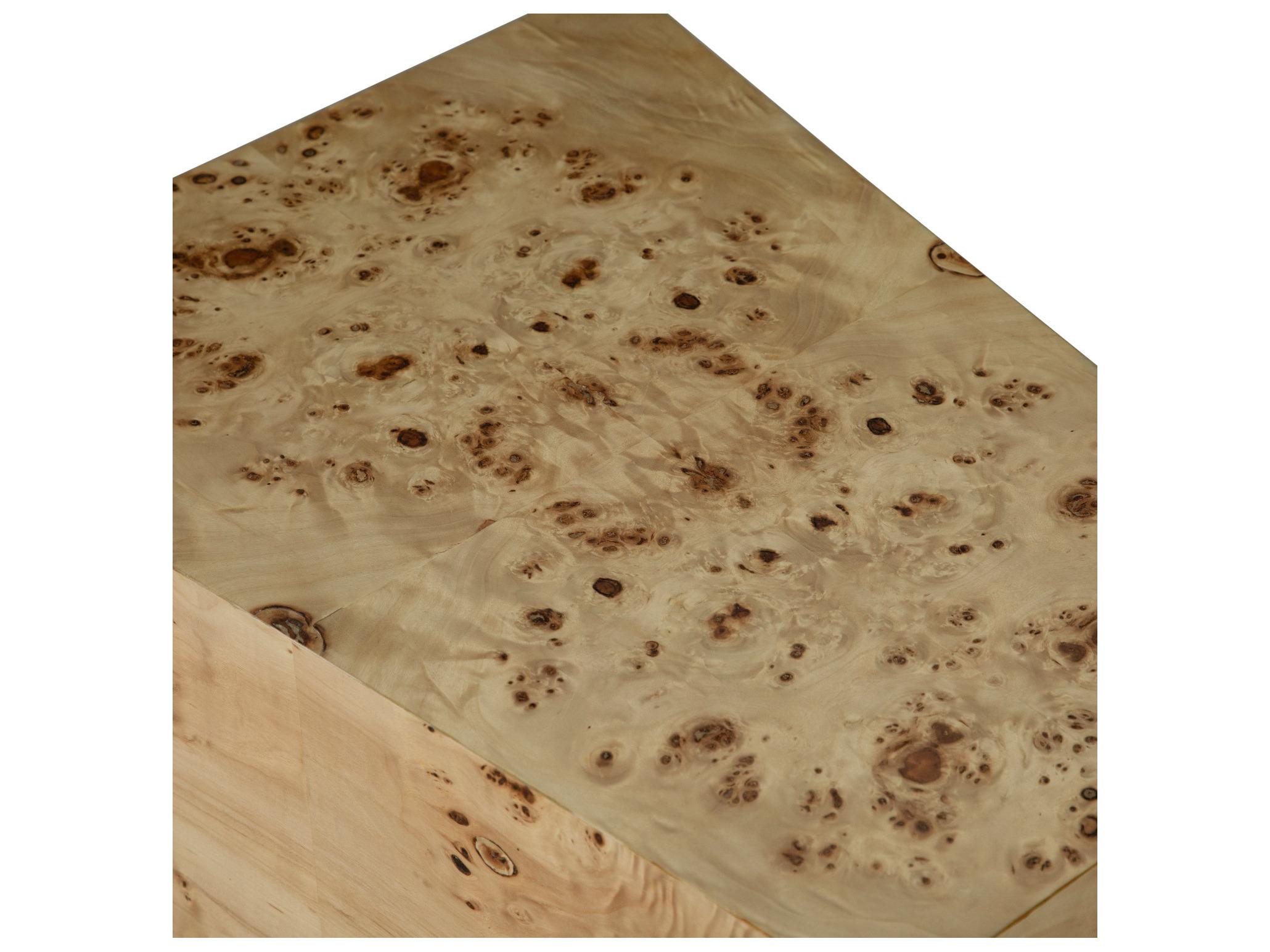 Gabby Alistair Rectangular Wood Maple Burl End Table