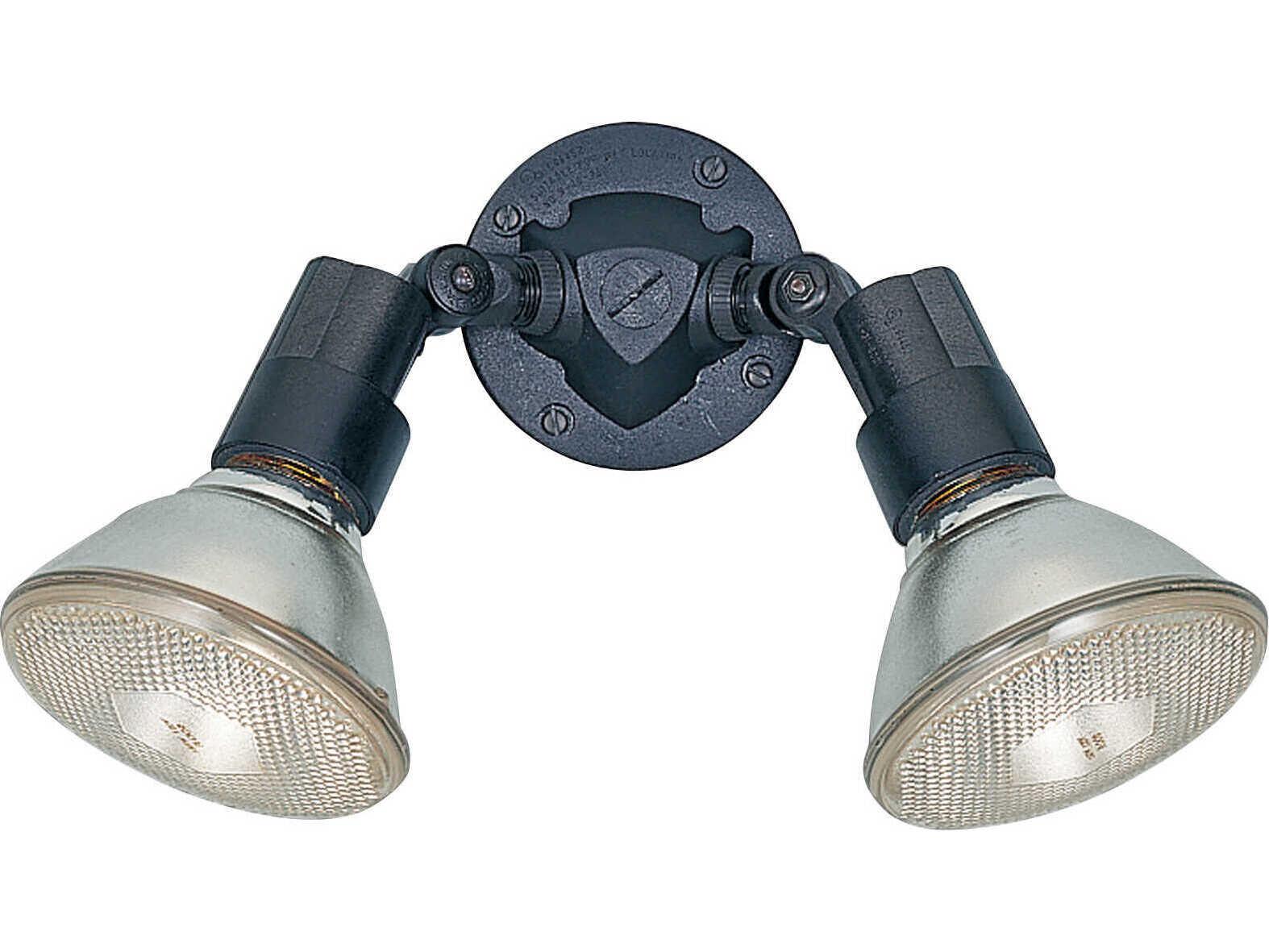 Generation Lighting Flood Light 2 - Outdoor Wall Light