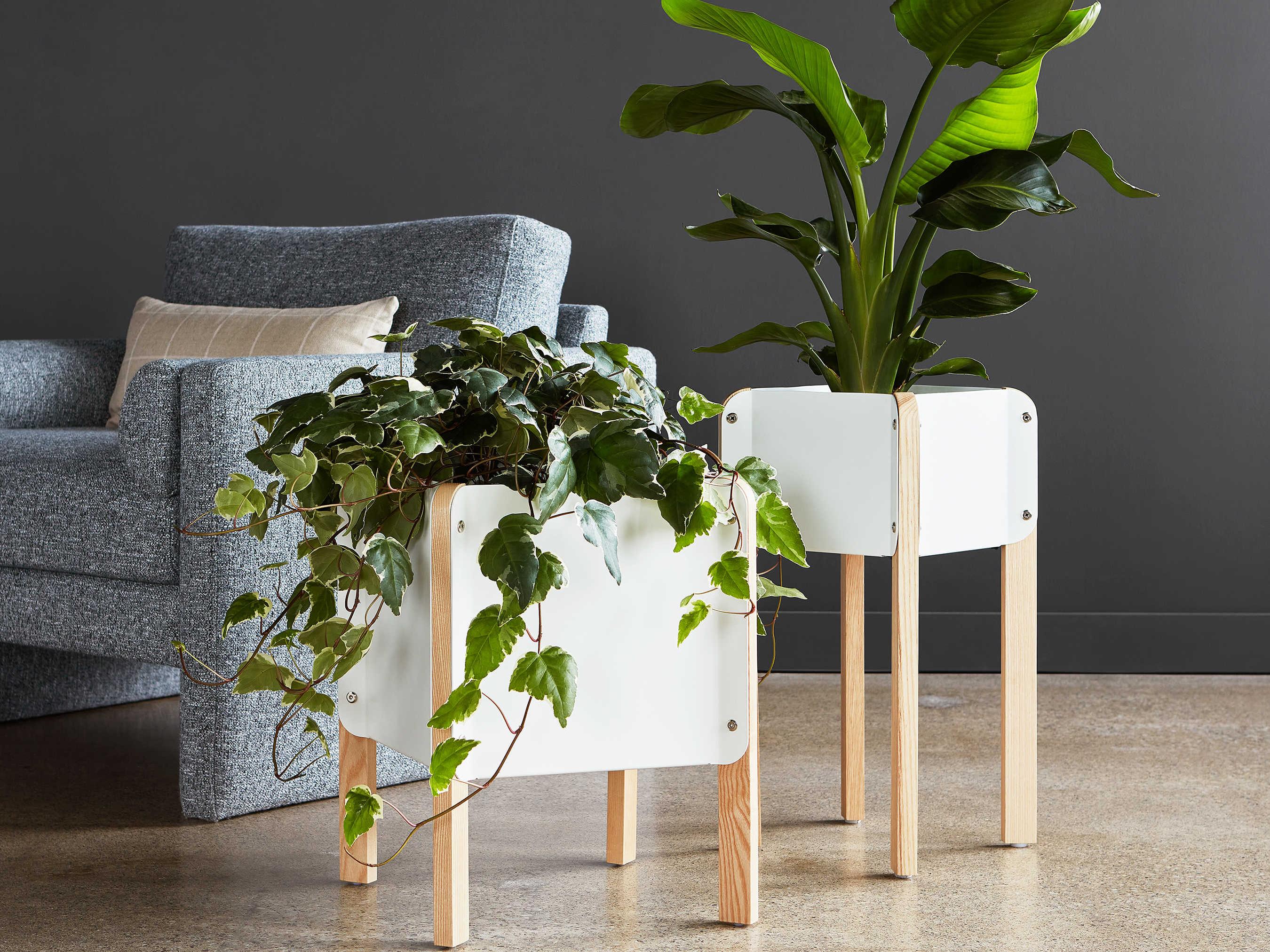 Gus* Modern Atrium White / Ash Natural 22" High Plant Stand