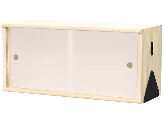 Gus* Modern Branch Blonde Ash Black Cabinet with Brackets