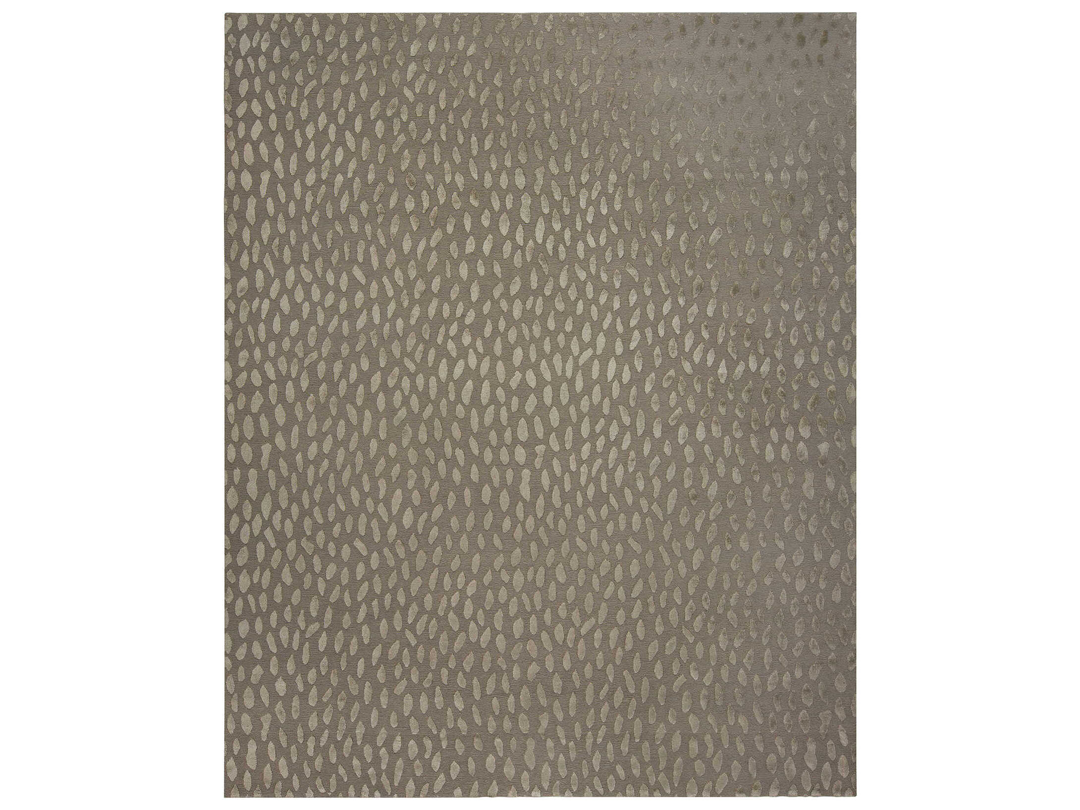 Harounian Rugs Bird Seeds Geometric Area Rug