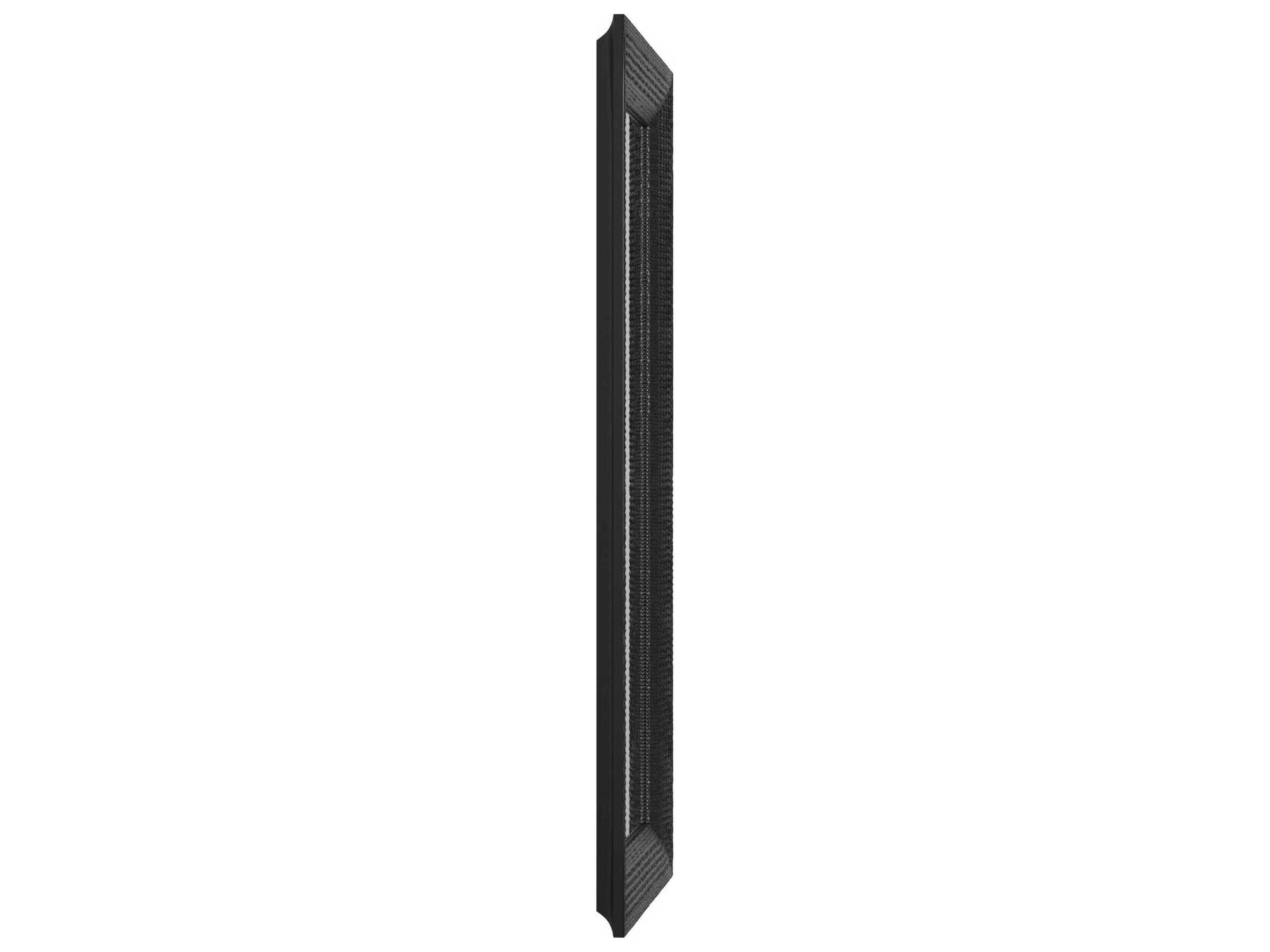 Howard Elliott Drago Black Rectangular Wall Mirror
