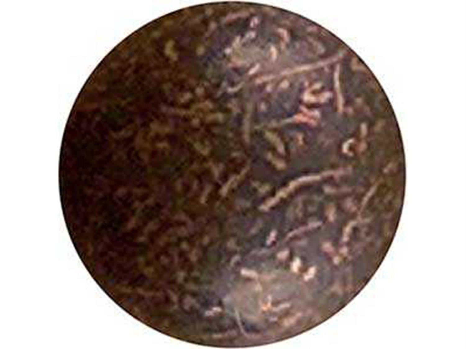 Hickory White Urban Loft Beech Wood Beige Upholstered Side Dining Chair