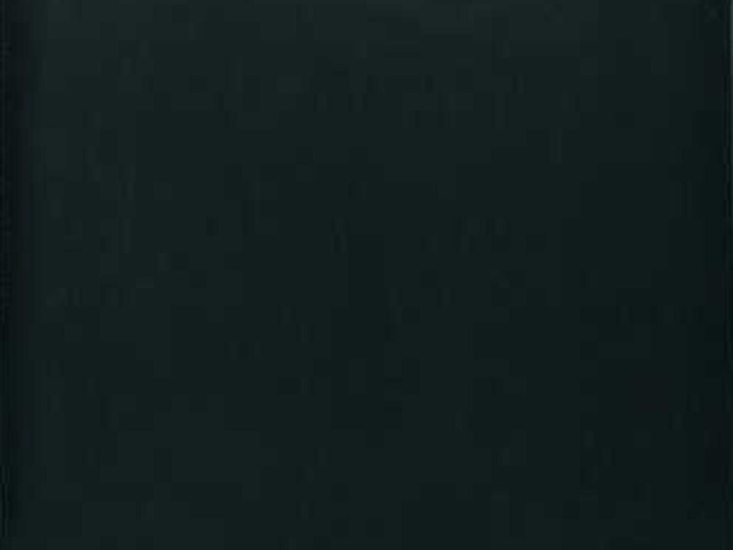 Hickory White Metropolitan Classics Beech Wood Black Upholstered X-Back Side Dining Chair