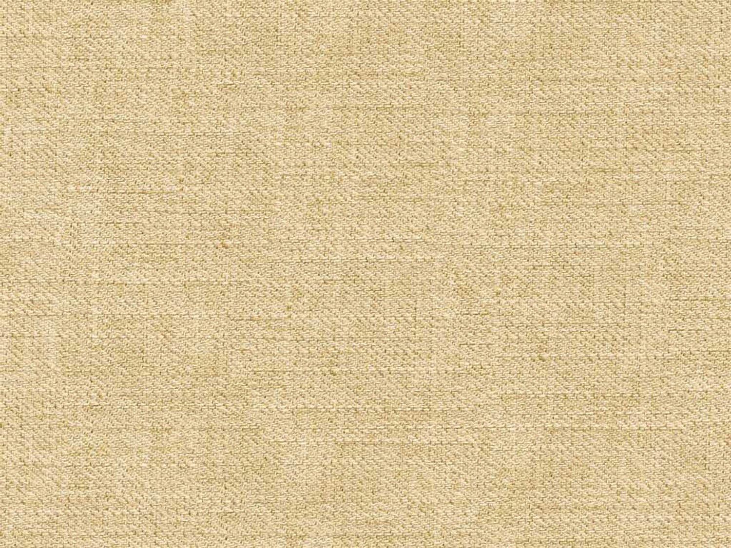 Hickory White Stratos Beech Wood Beige Upholstered Asheton Arm Dining Chair