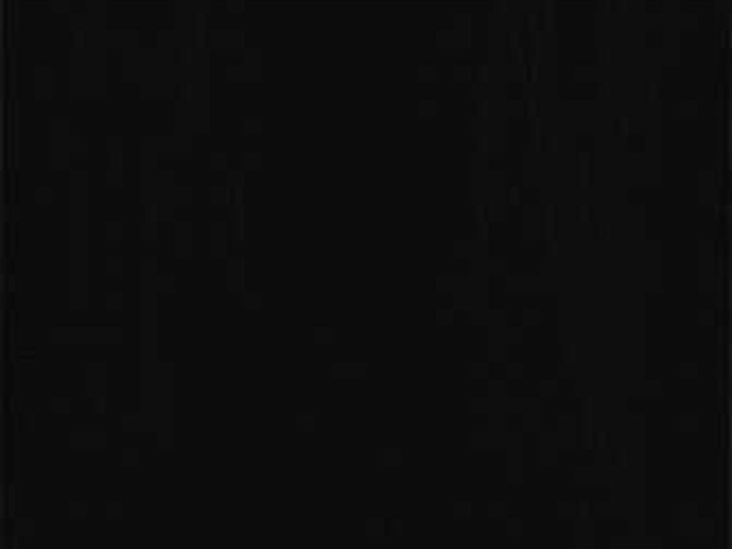 Hickory White Reimagine Black Beige Upholstered Carrington Queen Panel Bed