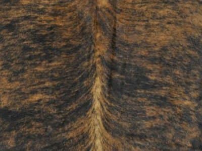 Hickory White Holland Brown Leather Accent Chair