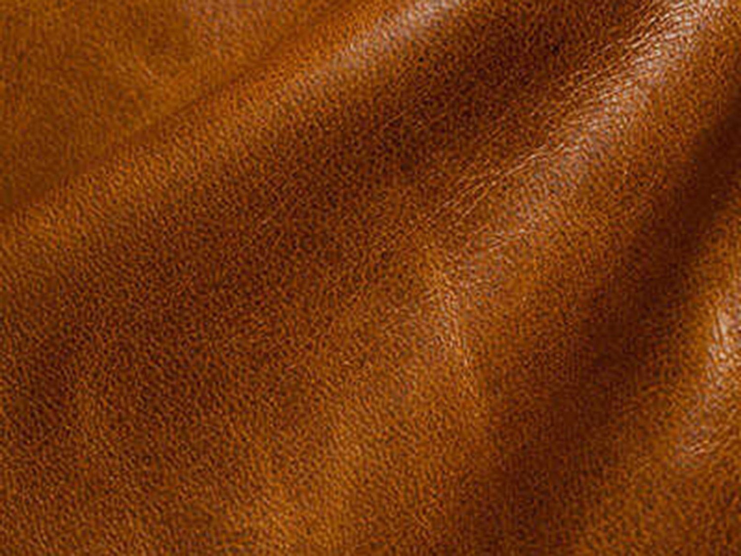 Hickory White Custom Elements Upholstery Brown Leather Max Game Arm Dining Chair