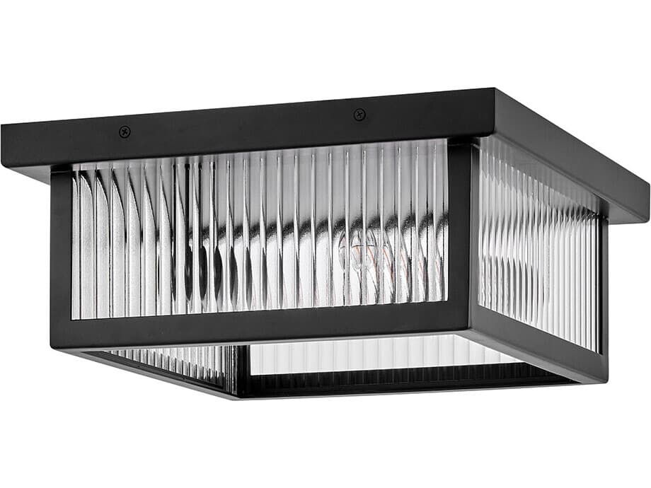 Hinkley Torrent 2-Light Outdoor Ceiling Light