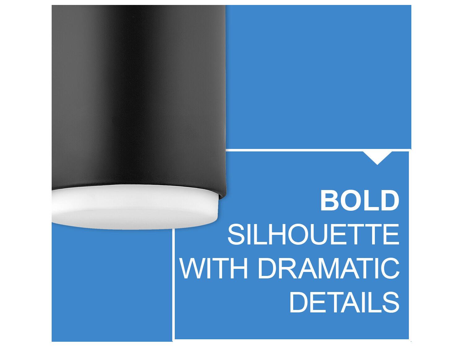 Hinkley Cedric 1-Light Black Glass Cylinder Flush Mount